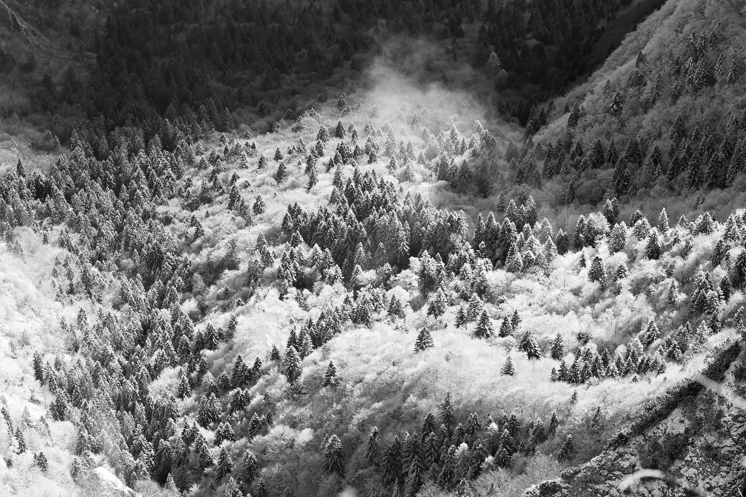 Aune - Vette Feltrine