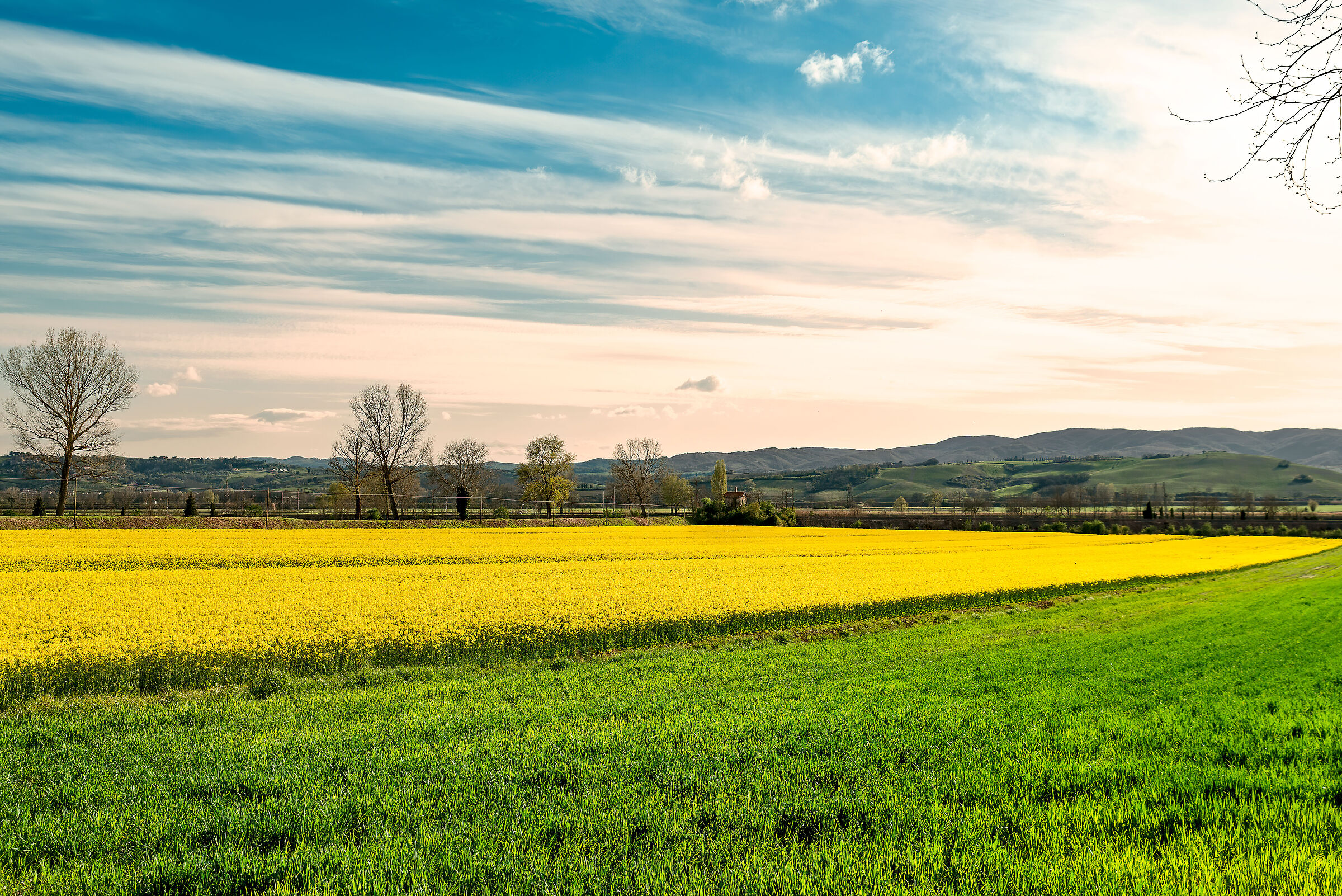 agricoltura in umbria al tramonto