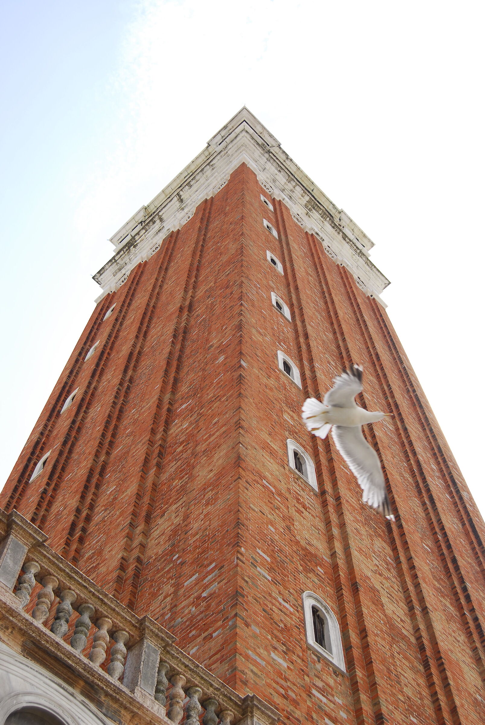 St. Mark's Square on the "flight"