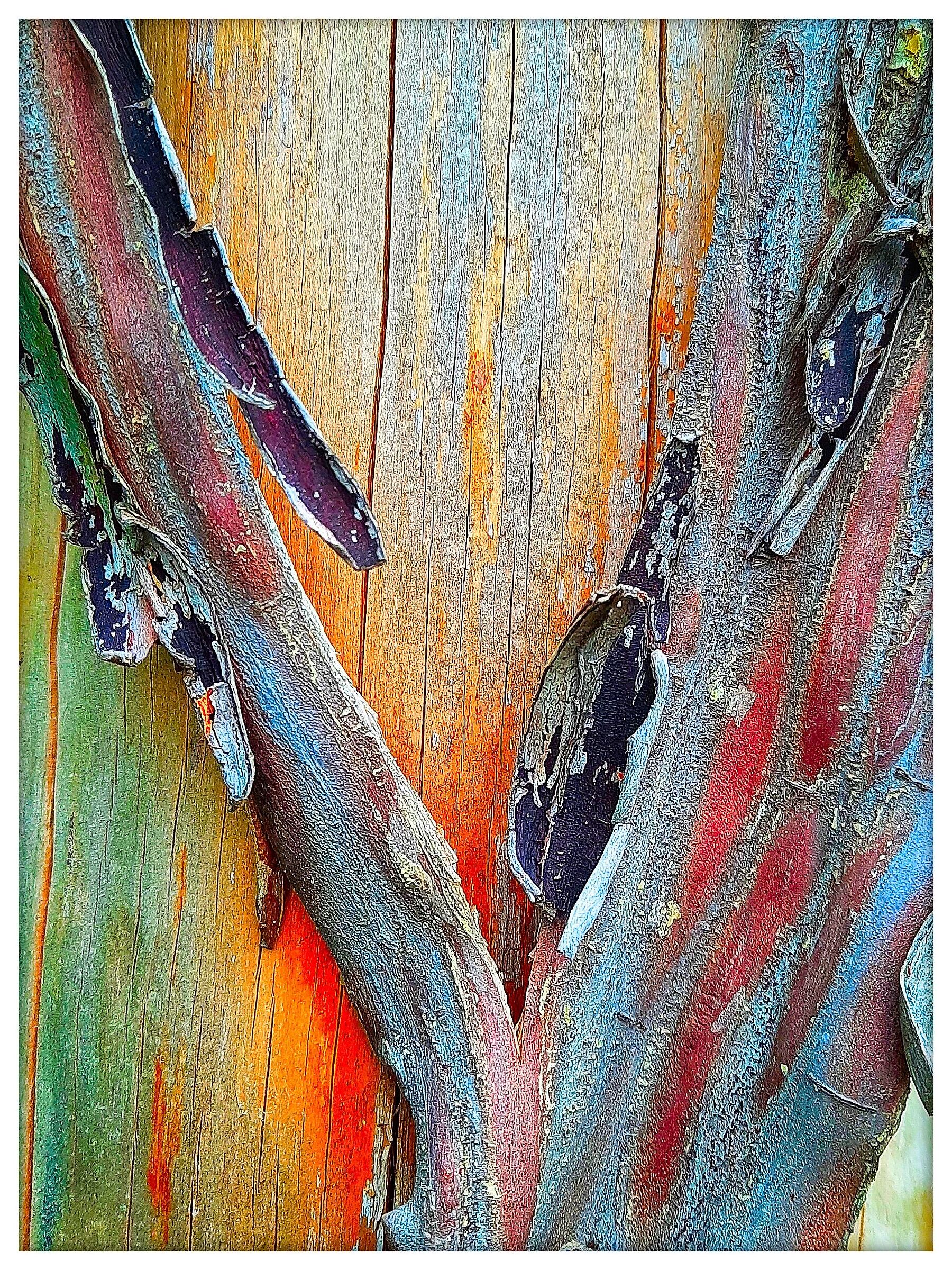 Cromatismi arborei