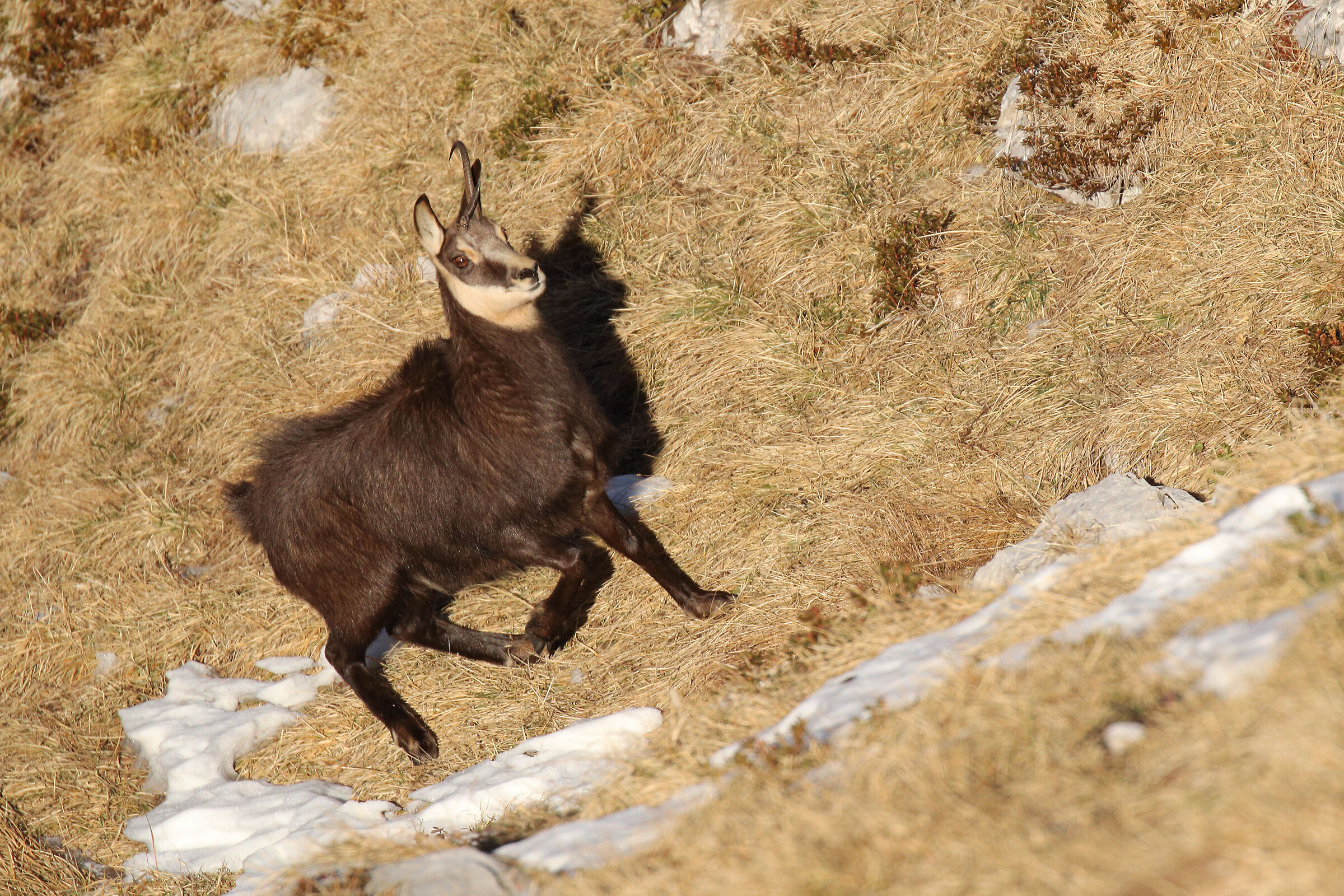 after the fights ...