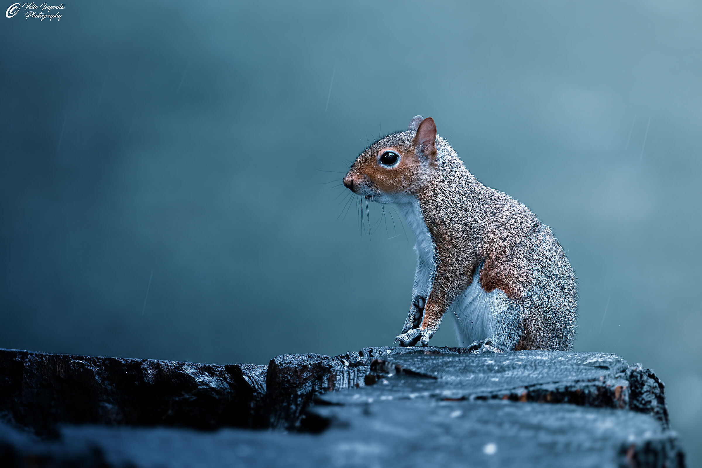 Getting wet in the rain