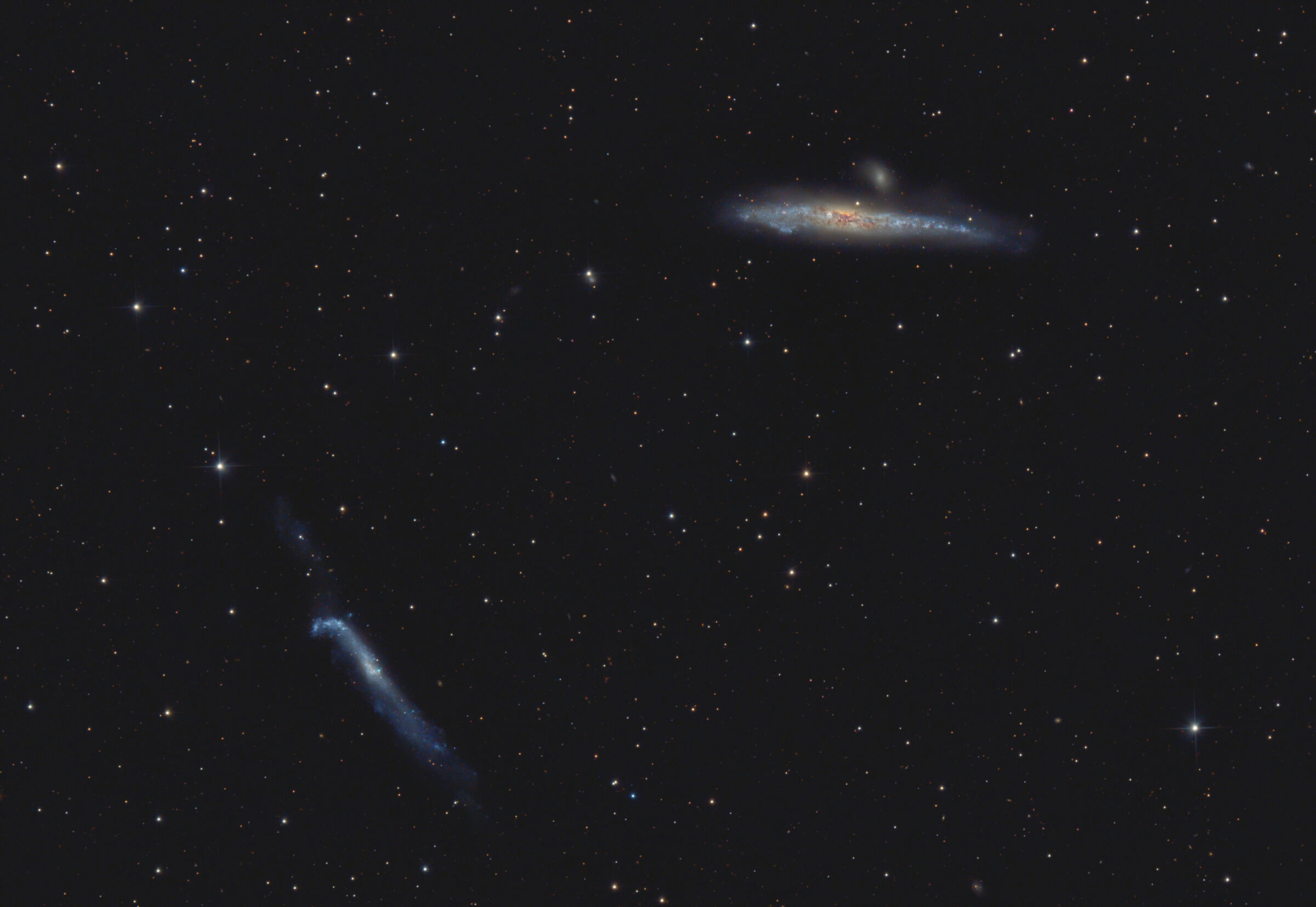 NGC4631-NGC4656 (Whale and Hockey Stick)