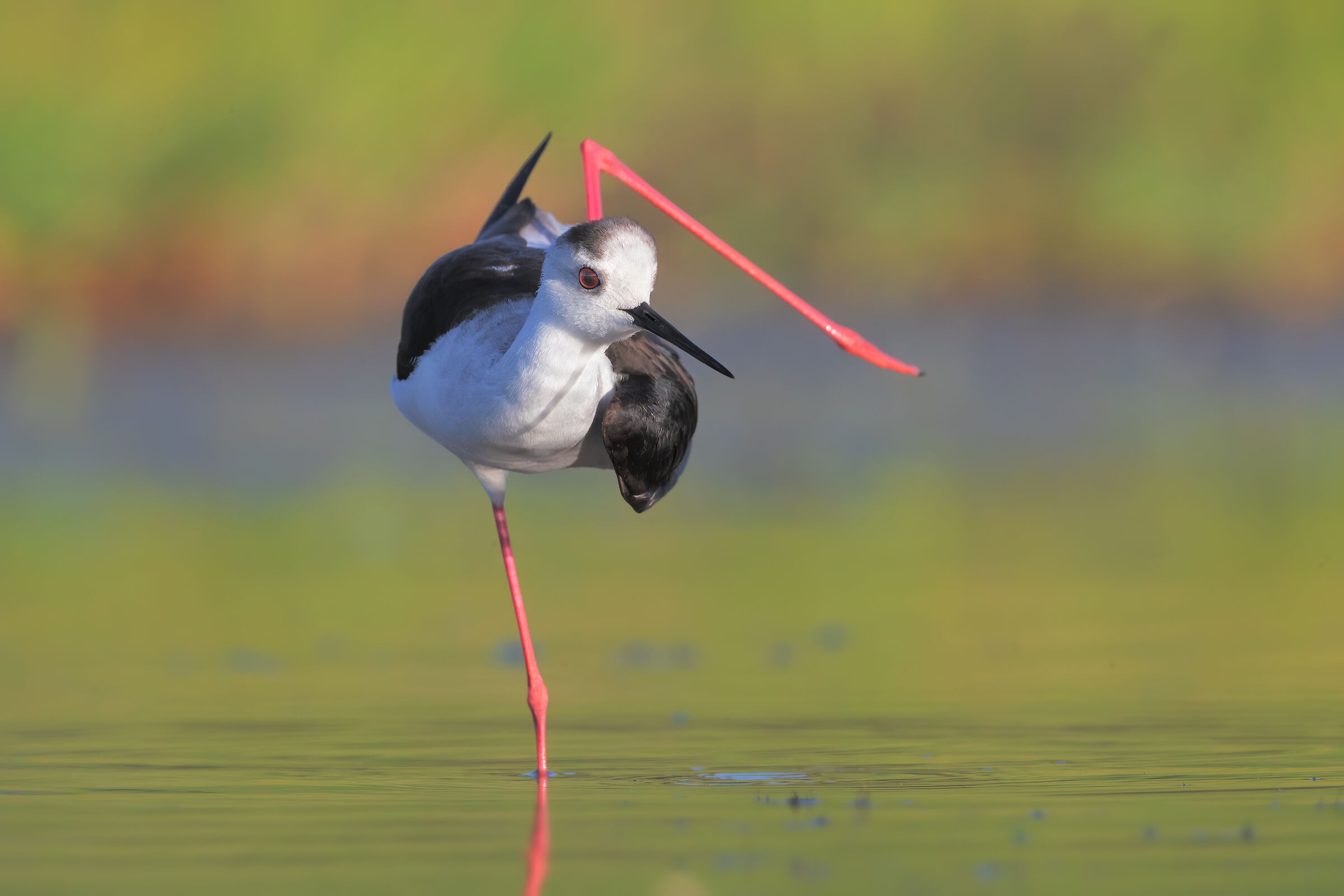 stretching!