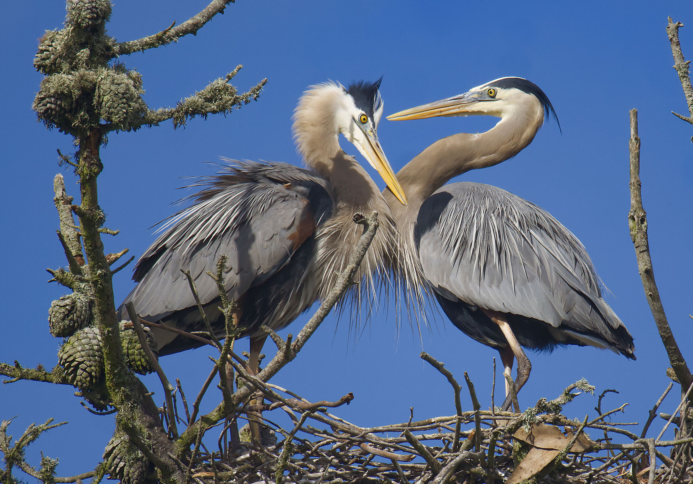 Happy to have you...