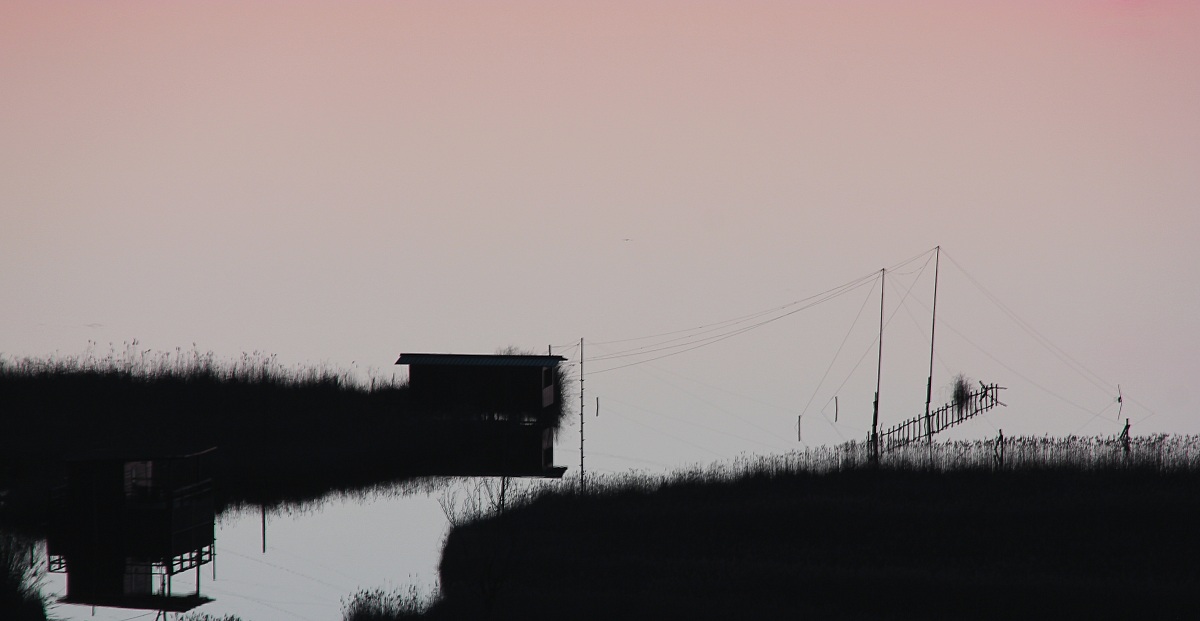 Lago di Massaciuccoli