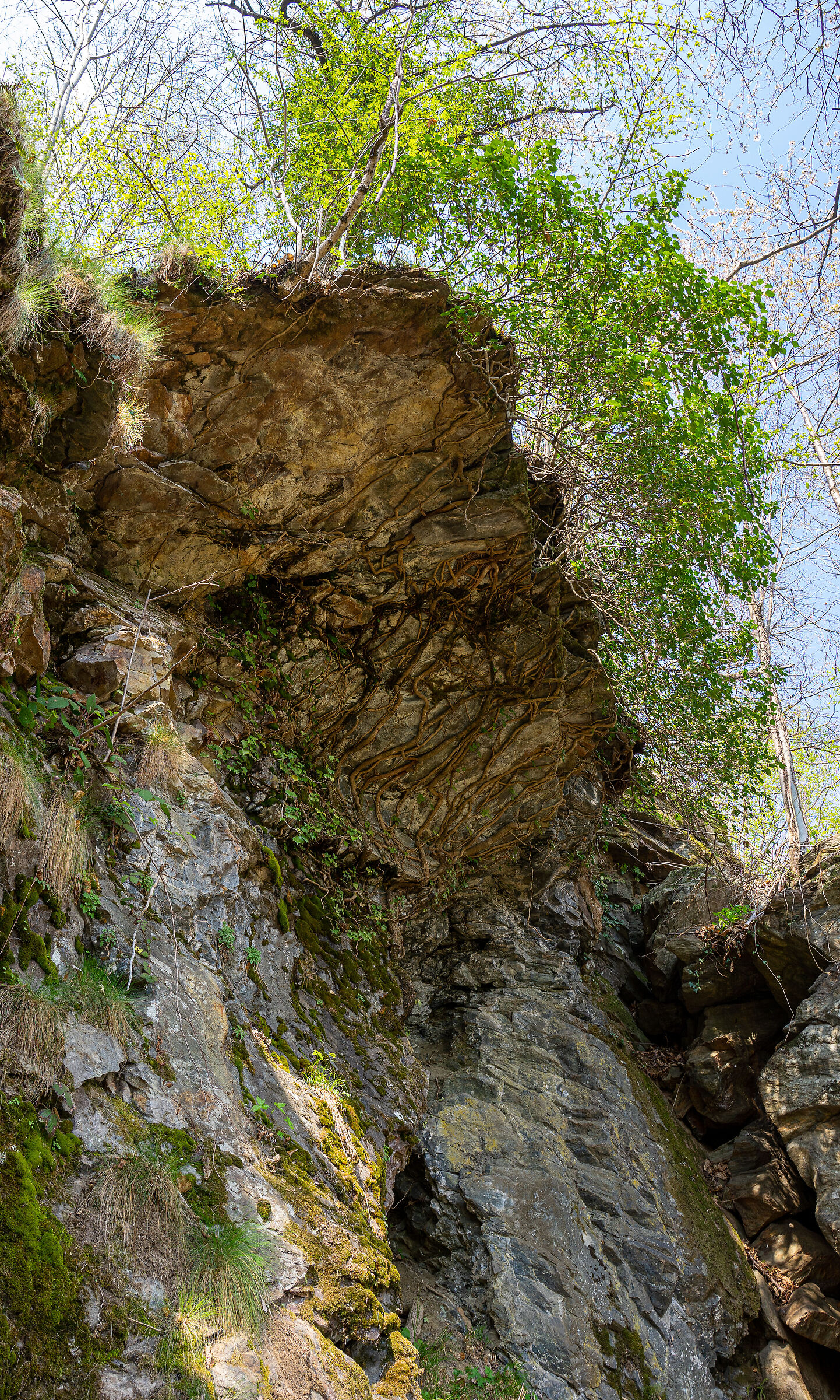 Un sostegno inaspettato