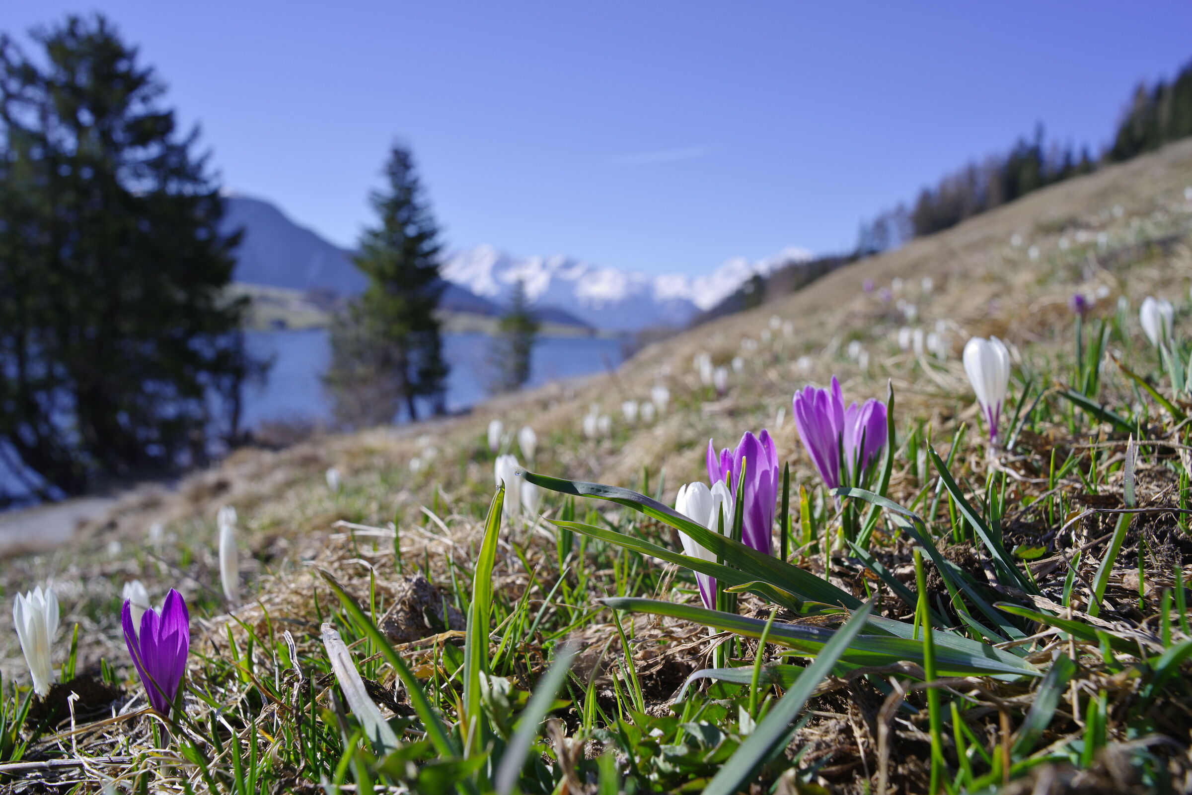 Valentine's Day at the Wetsuit