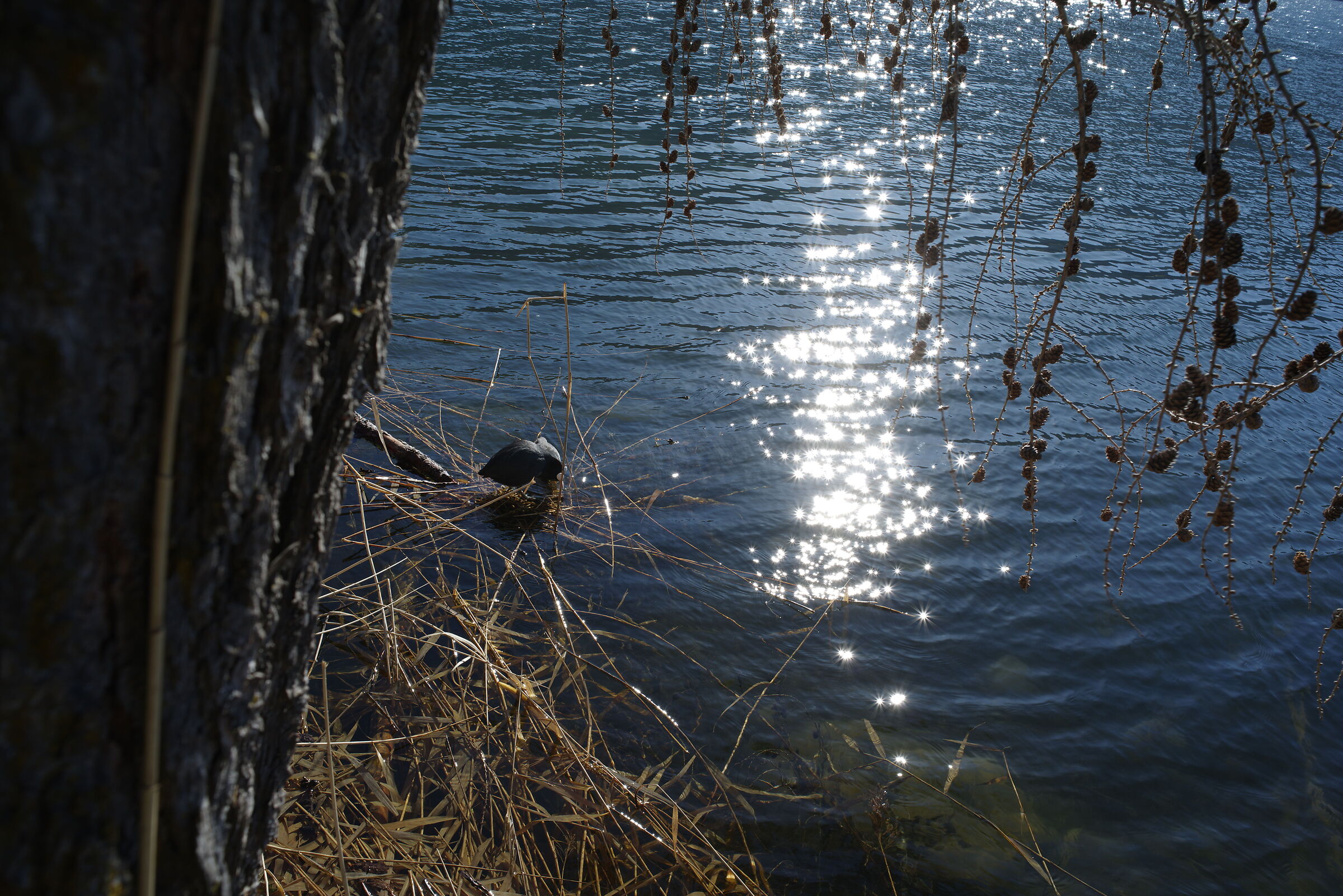 Valentine's Day at the Wetsuit