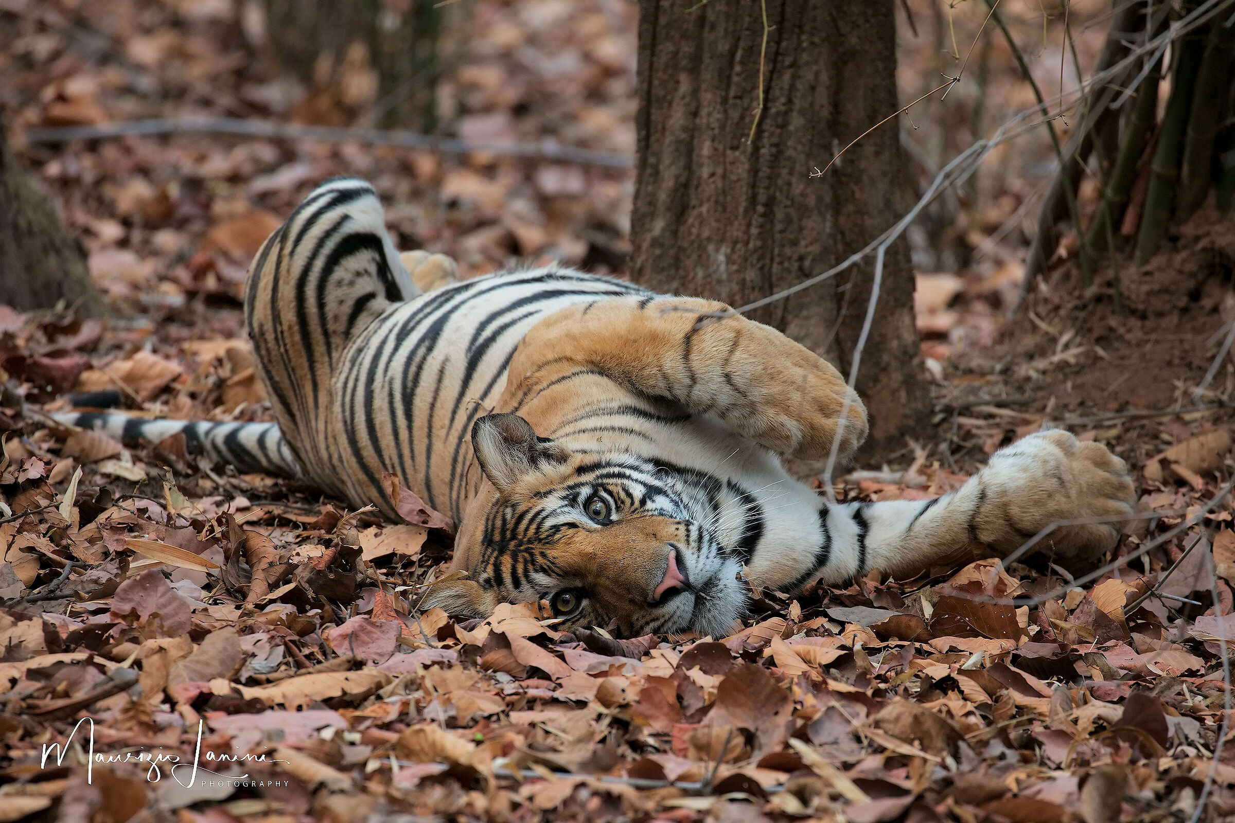 Sembro in relax...ma se scendi dalla jeep