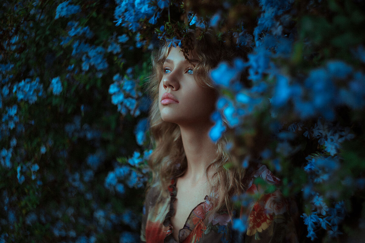 Into The Flowers Juzaphoto 