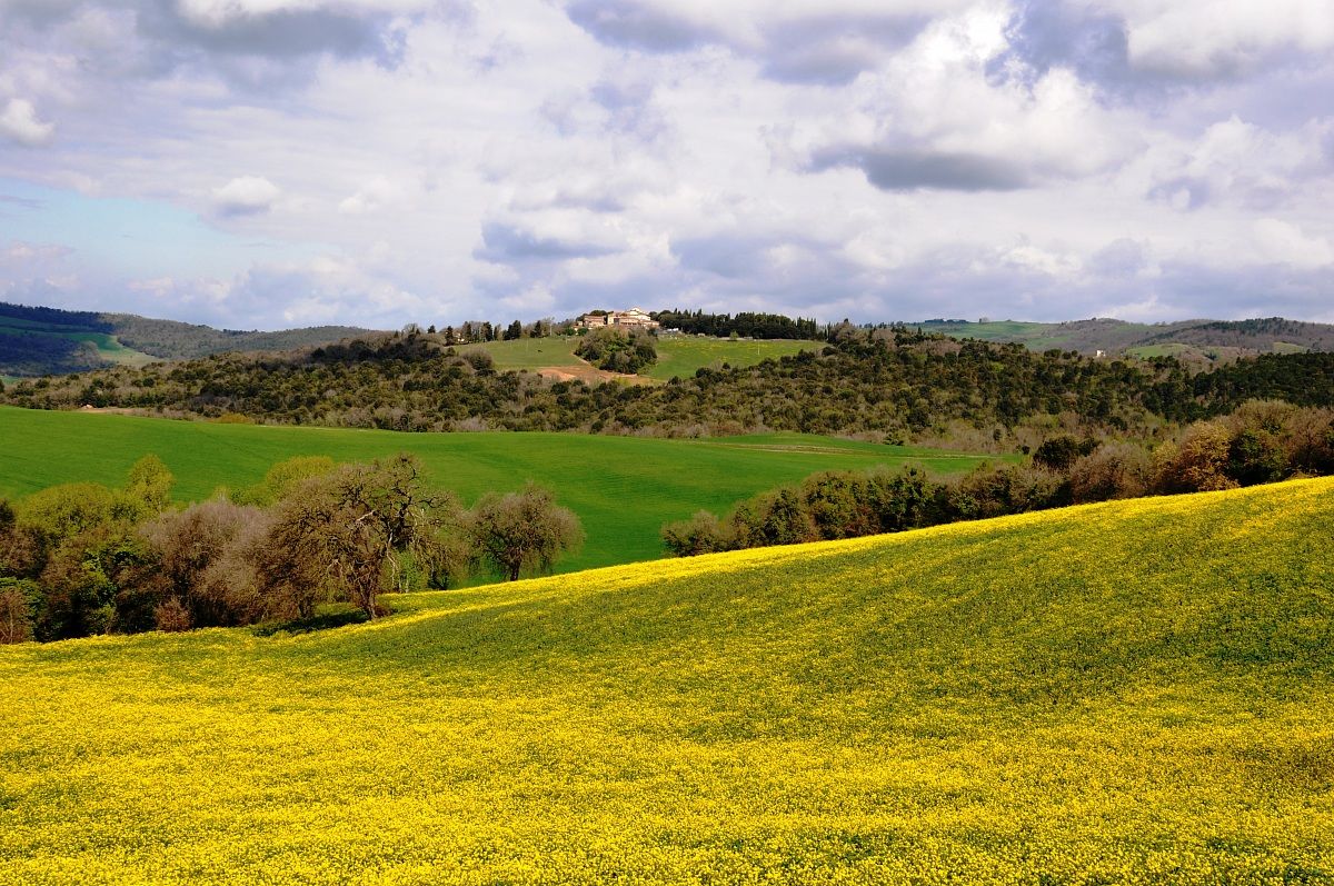 Colline Senesi