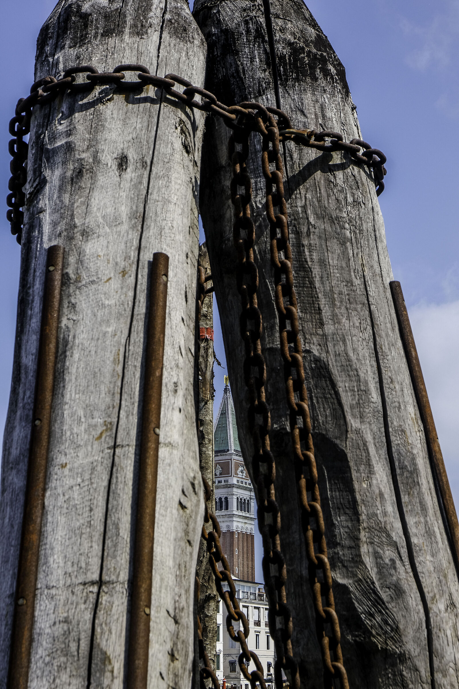 El Paron de Casa chained