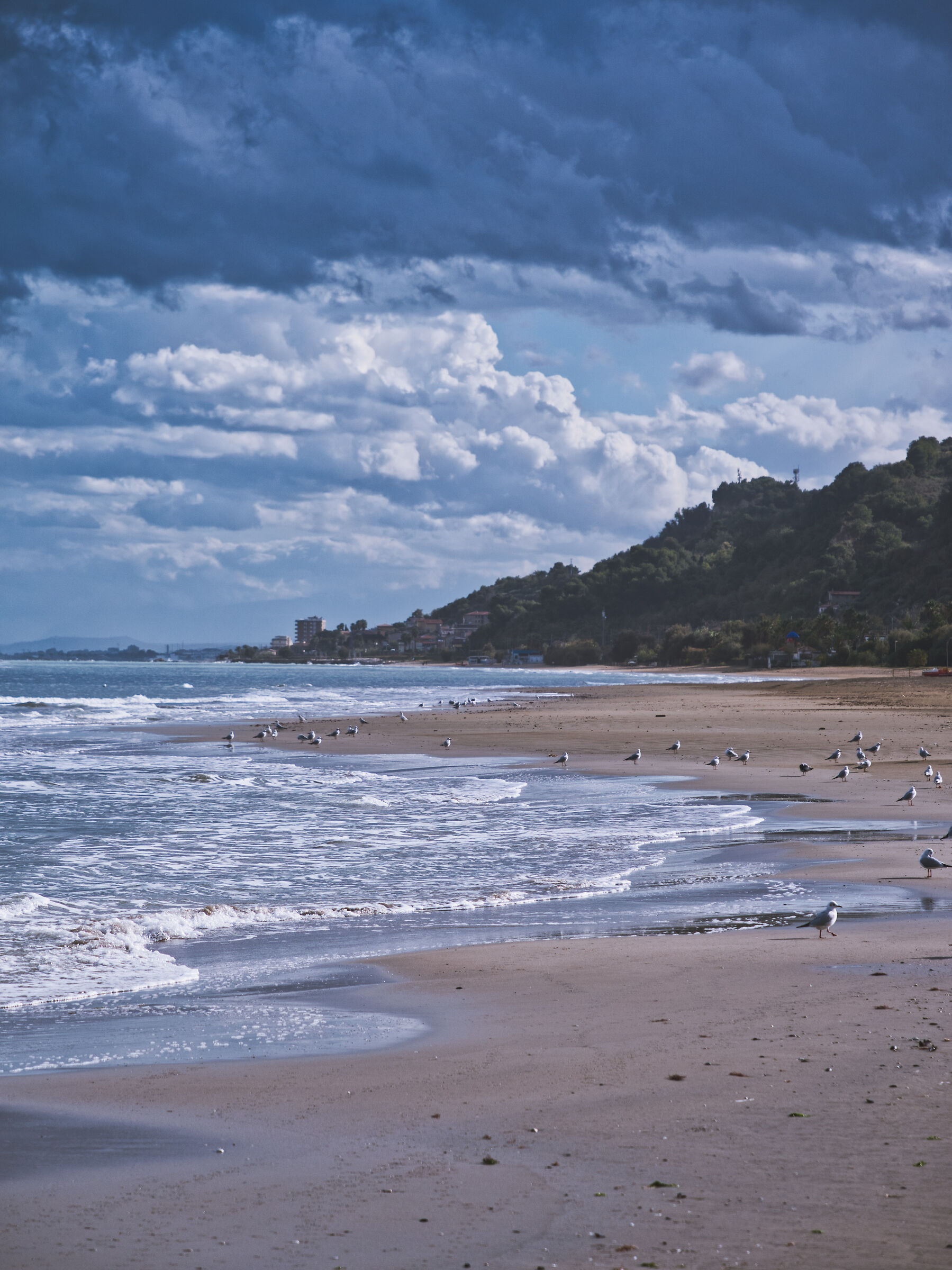 Mare