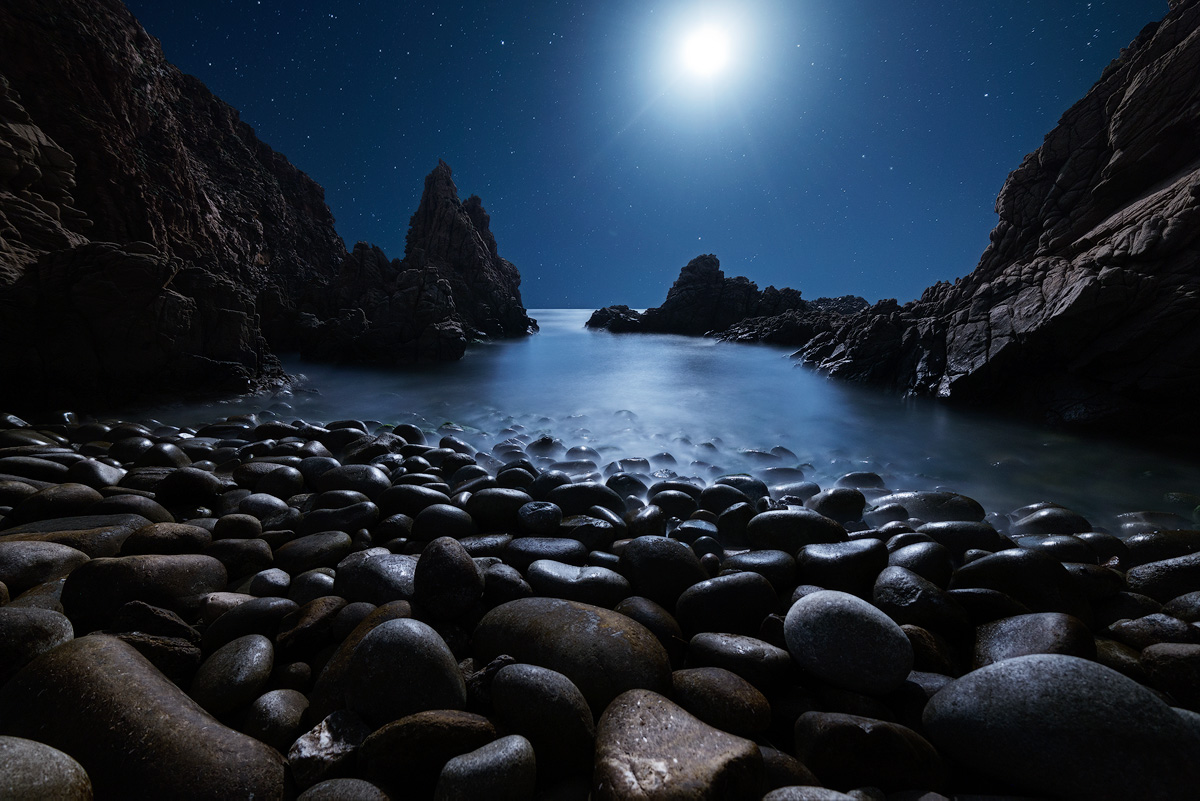 Cape Sheep Moonlight