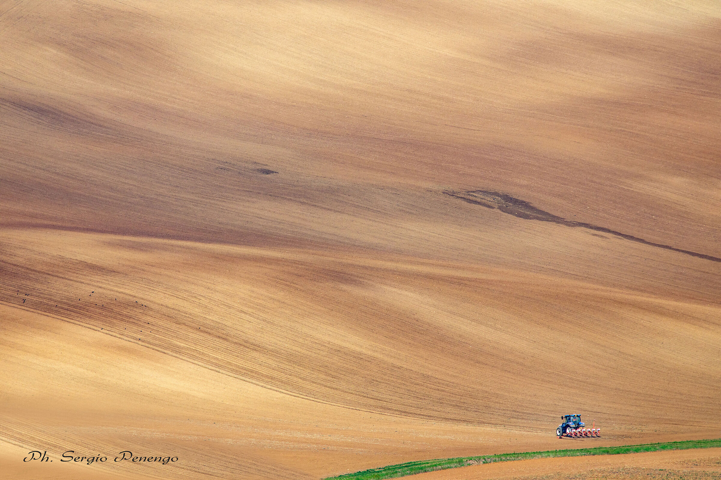 "IL lavoro nei CAMPI"
