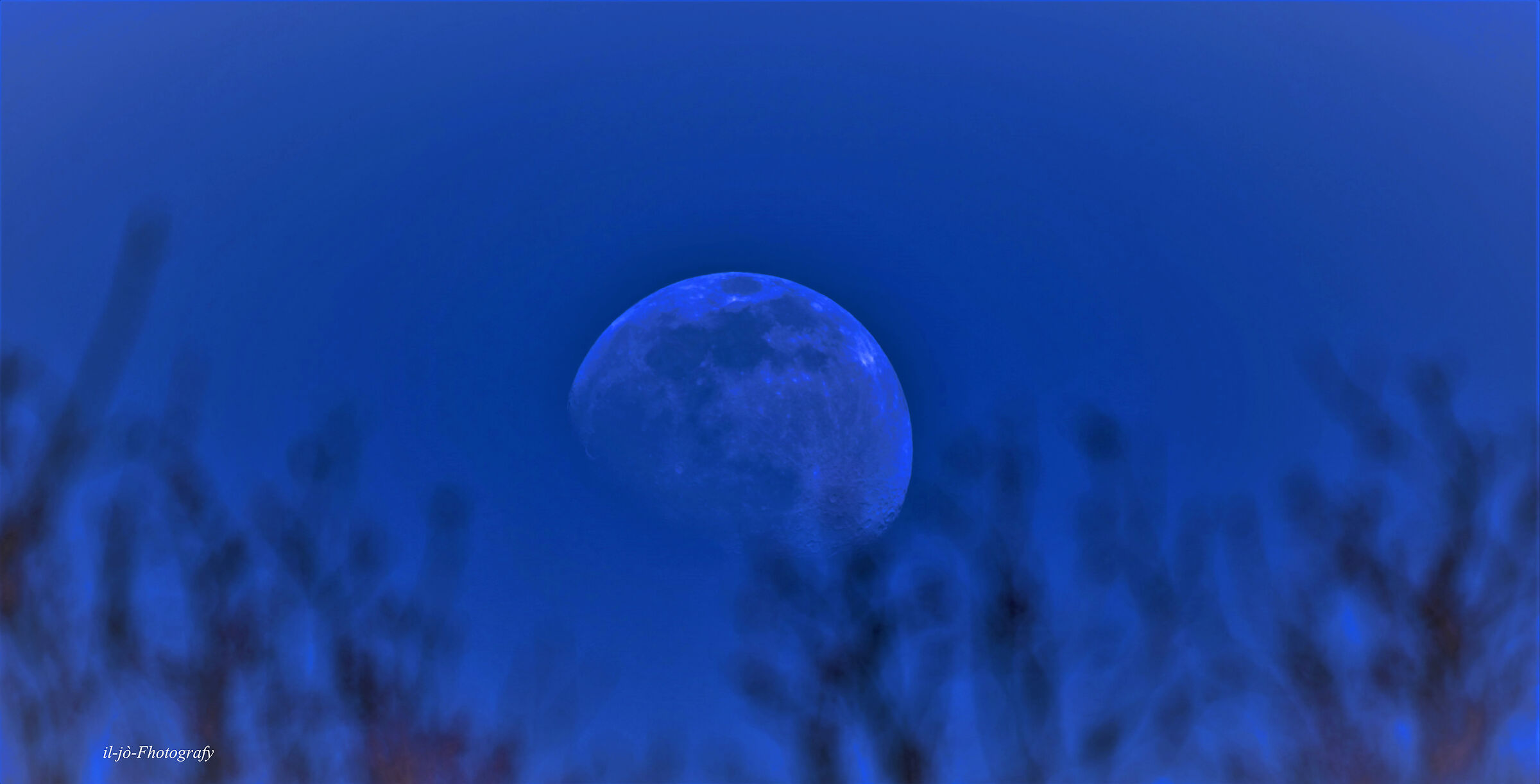 Untitled Photo