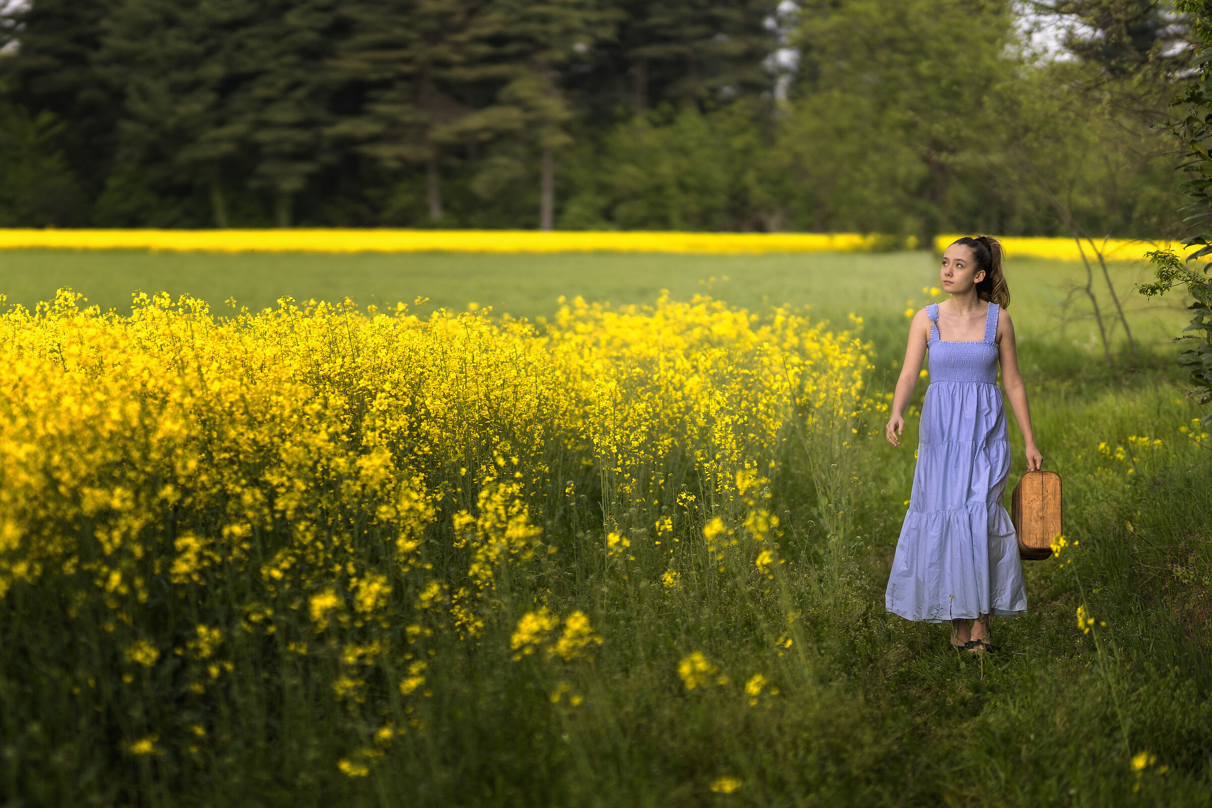 Piccole modelle crescono