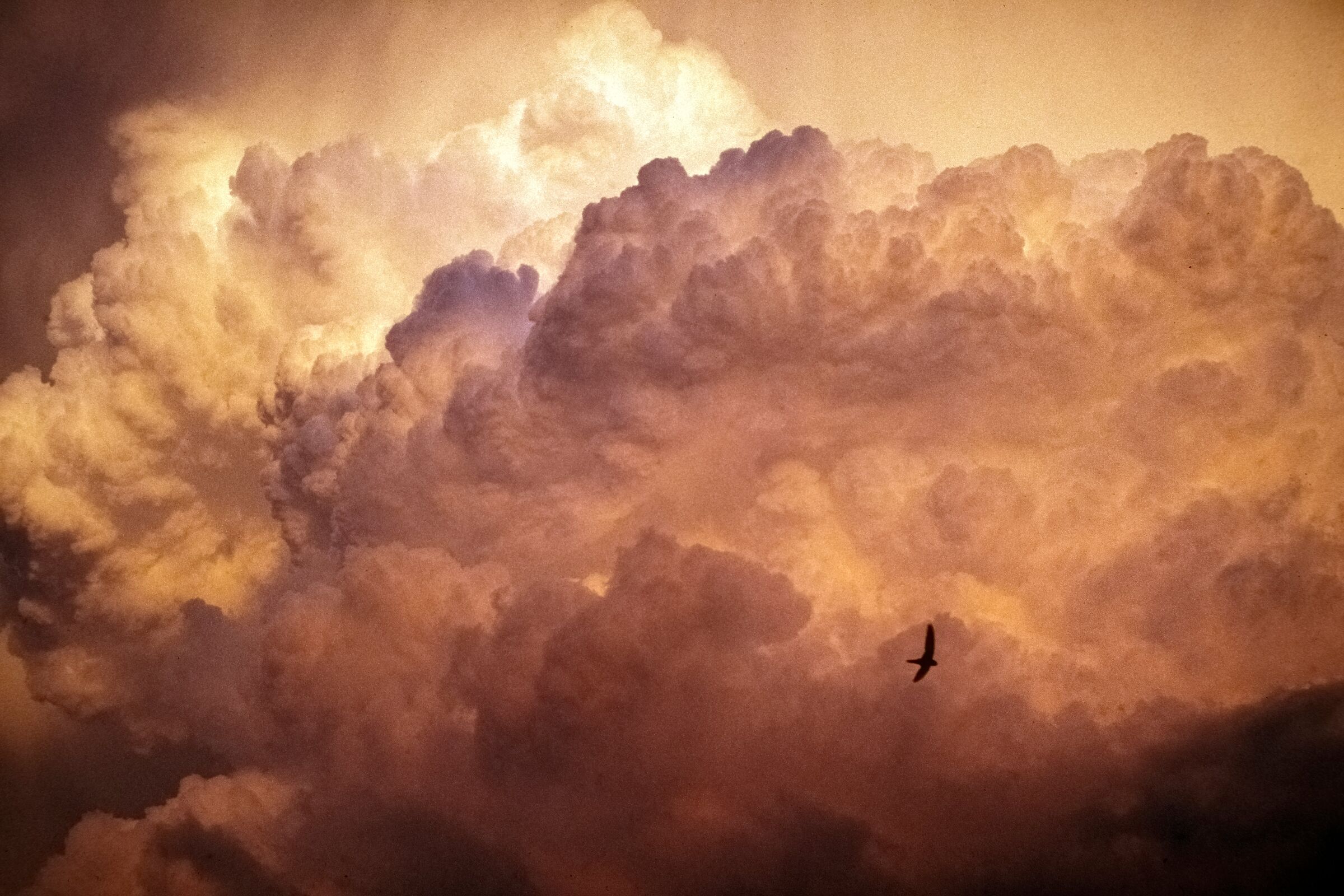 temporali d'agosto (diap.)