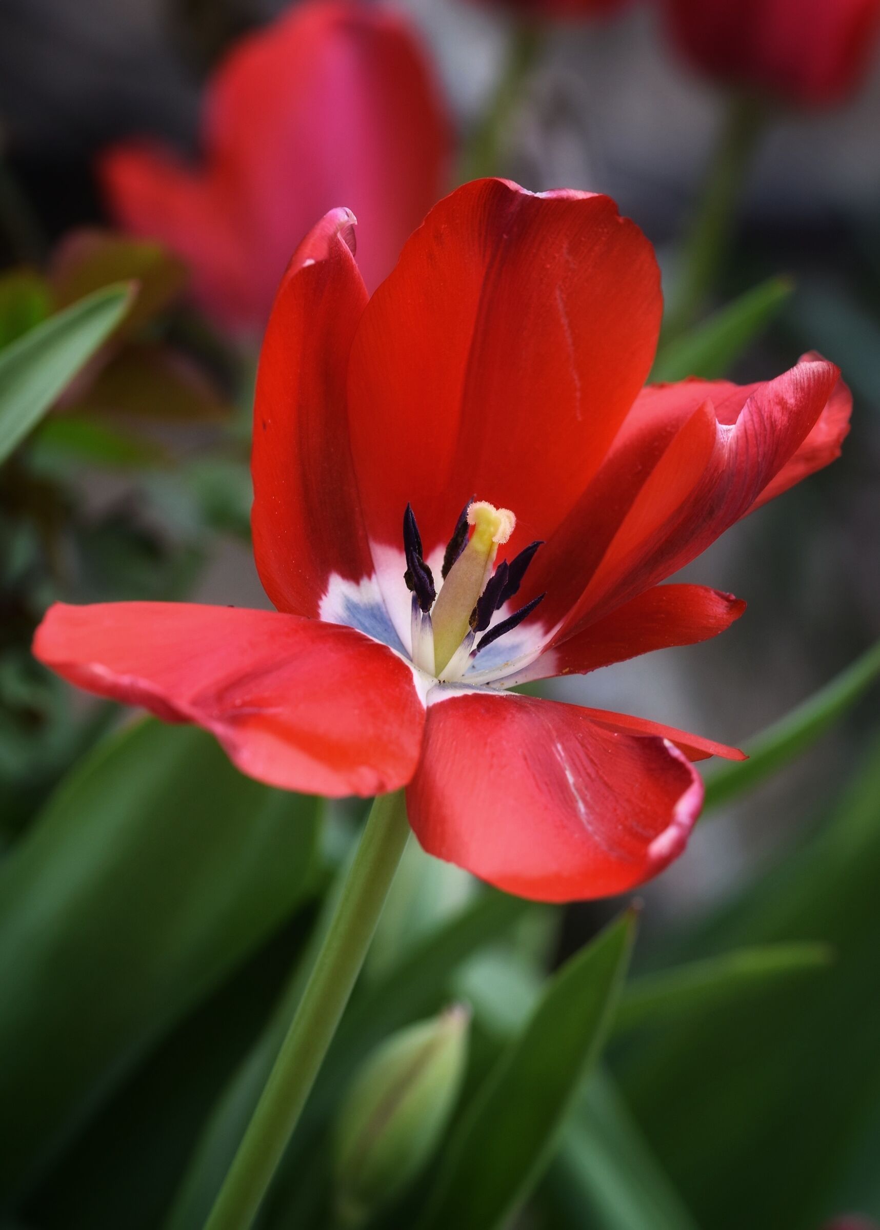 Untitled Photo