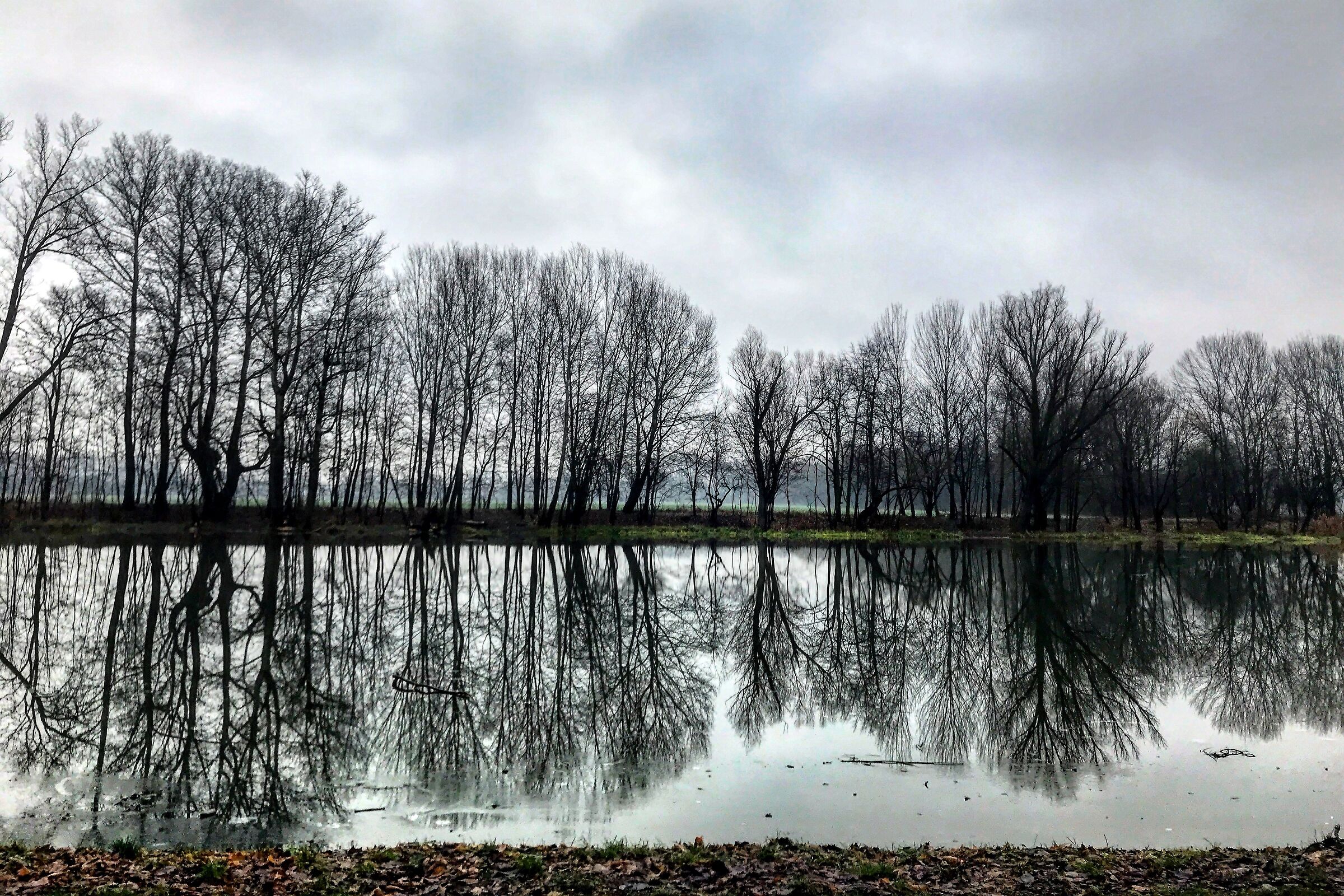 Muzeum Pa&lstrok;acu Króla Jana III w Wilanowie - War...