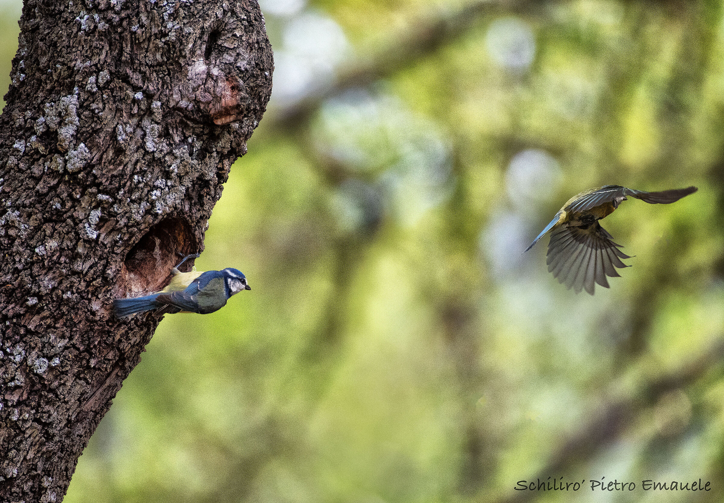 Partenze, Arrivi e nuove sorprese