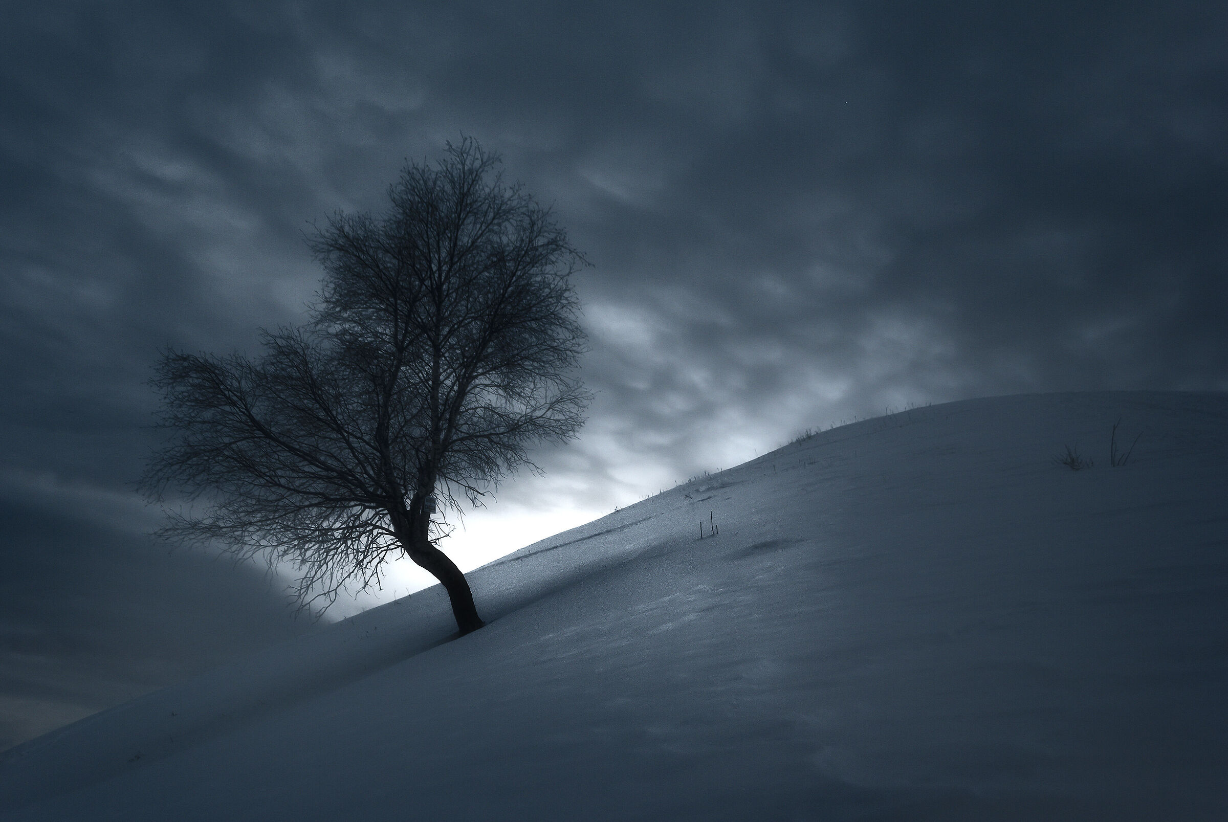 Alone and fearless