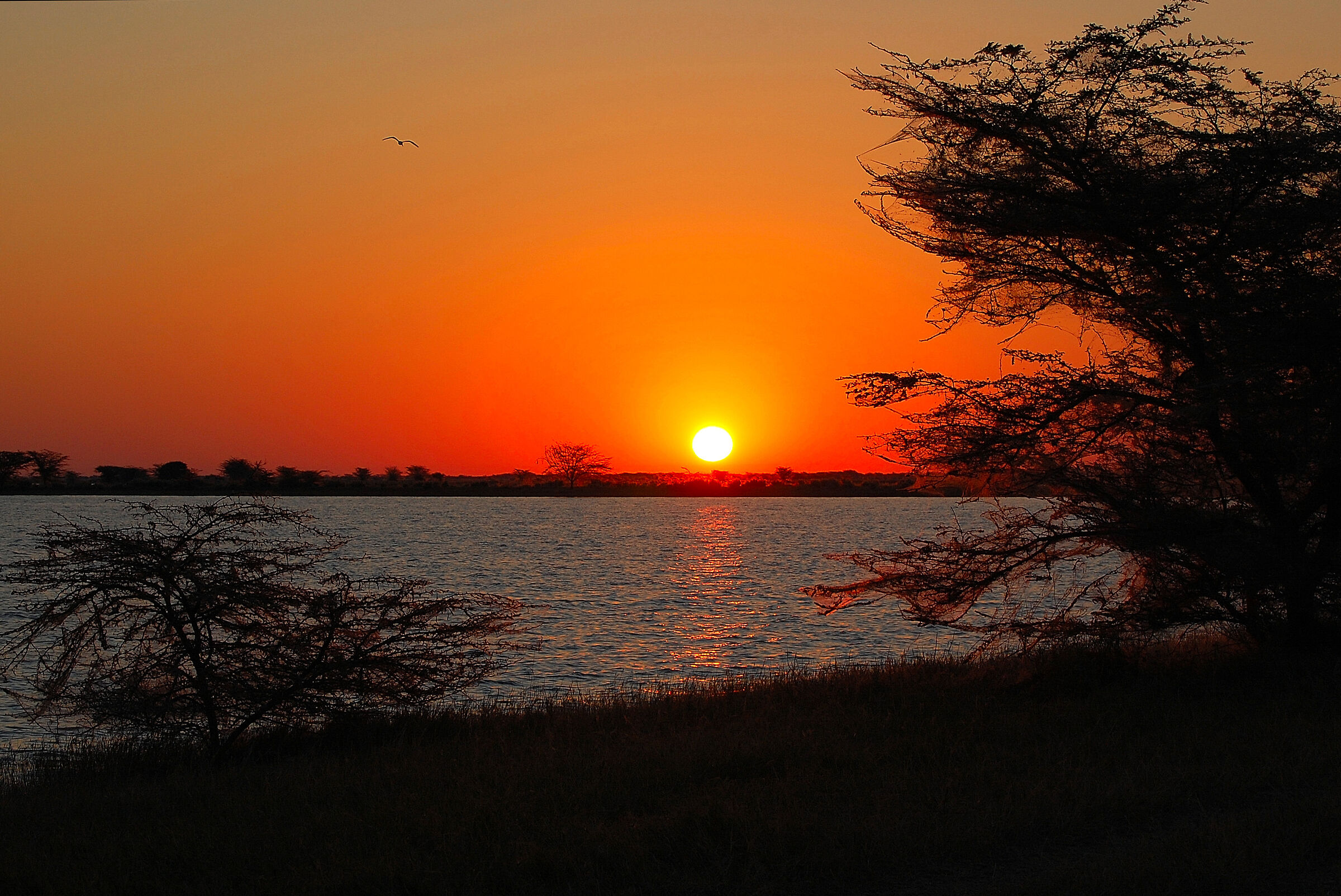 Botswana: sunrise over salt lake Makgadikgadi