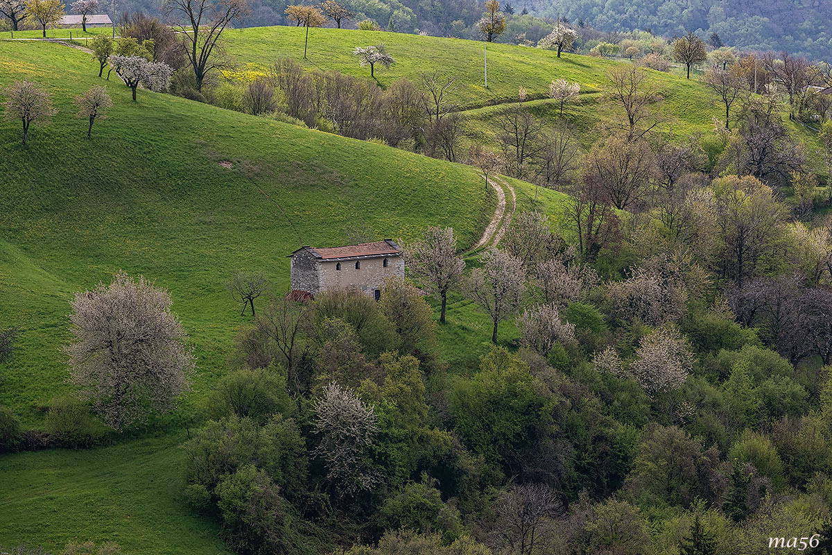 Magical Lessinia - Veronese Veil