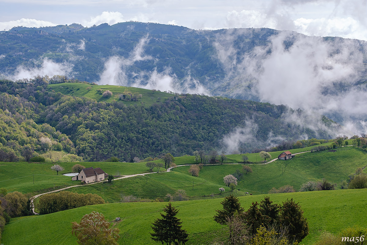 Magical Lessinia - Veronese Veil