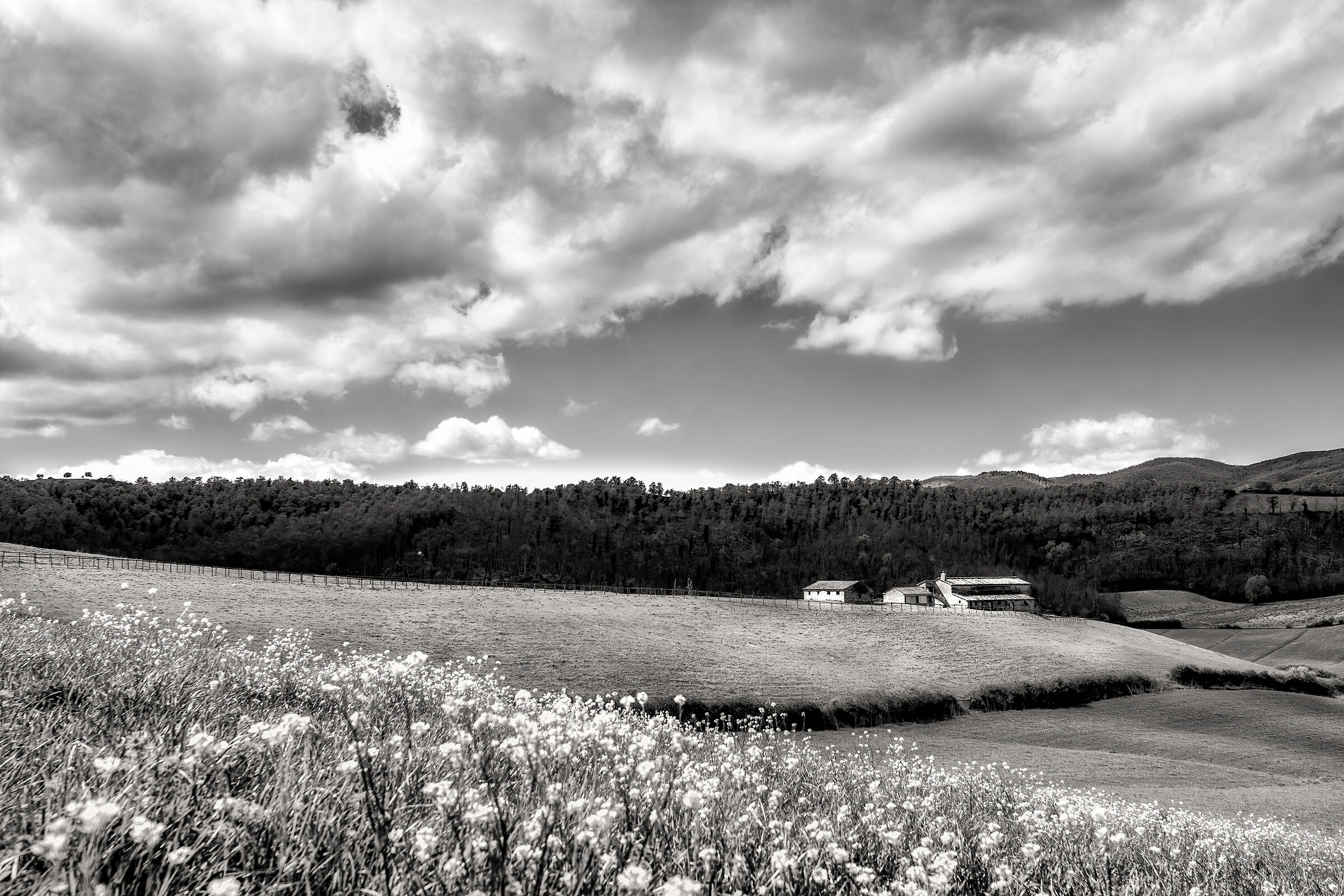 campagna umbra val di chiana bassa