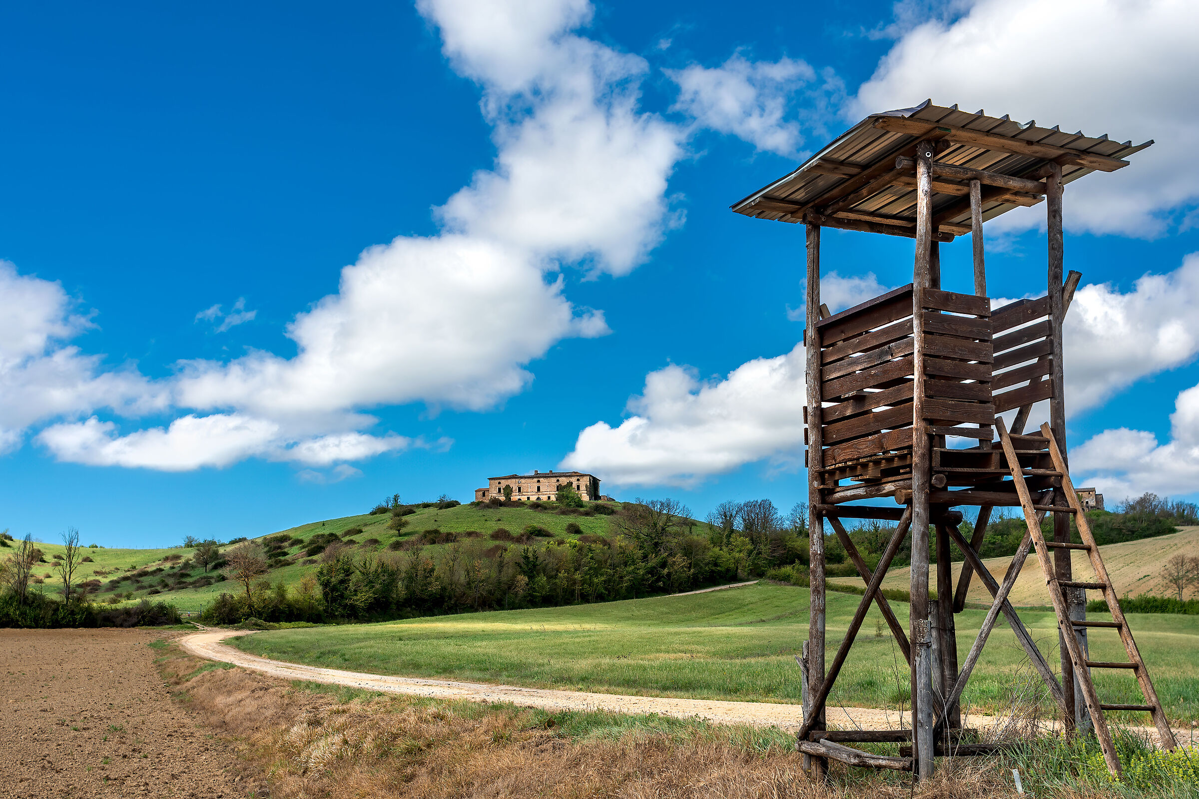 campagna umbra val di chiana bassa (altana)