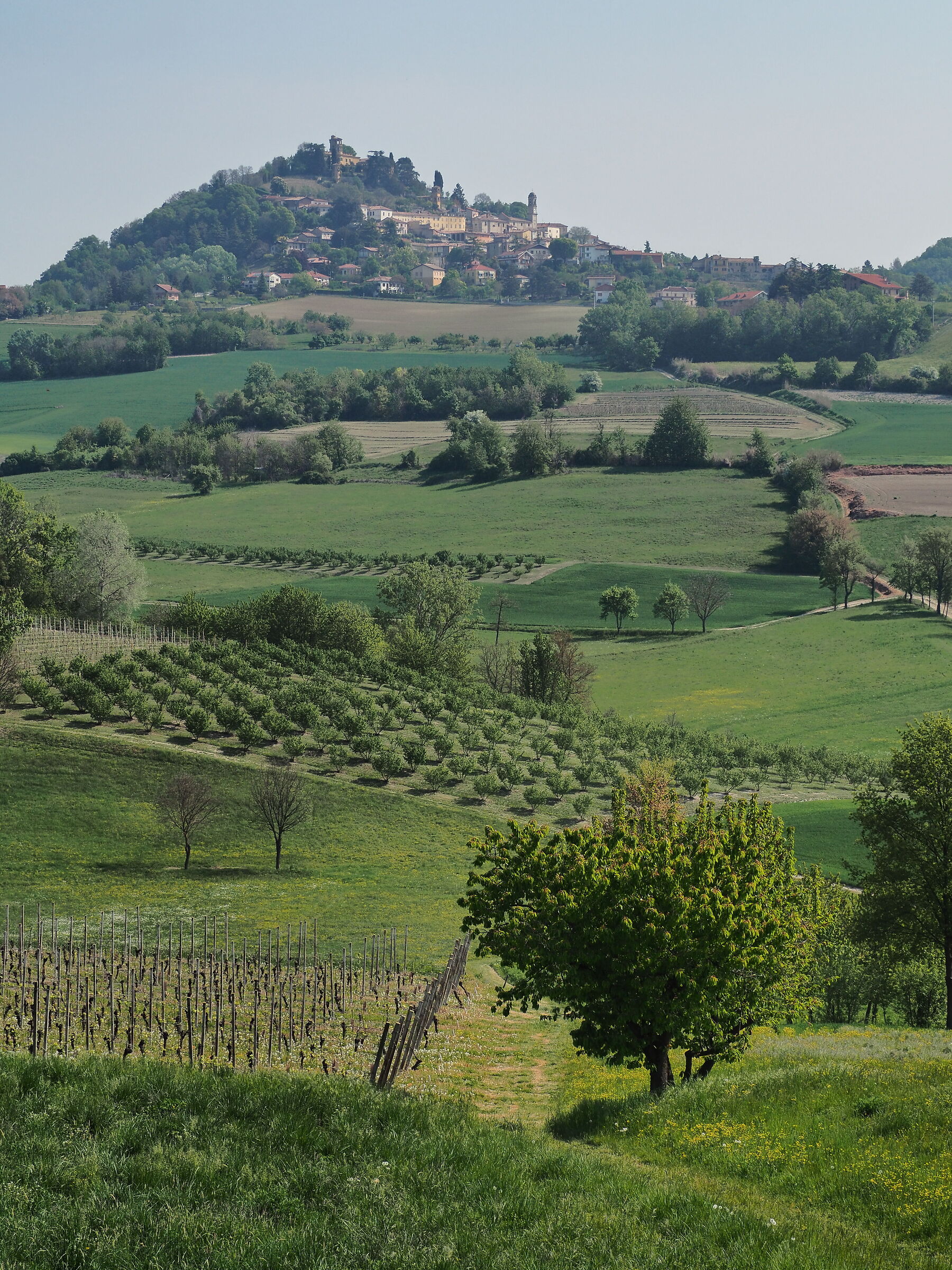 Villadeati nel suo splendore