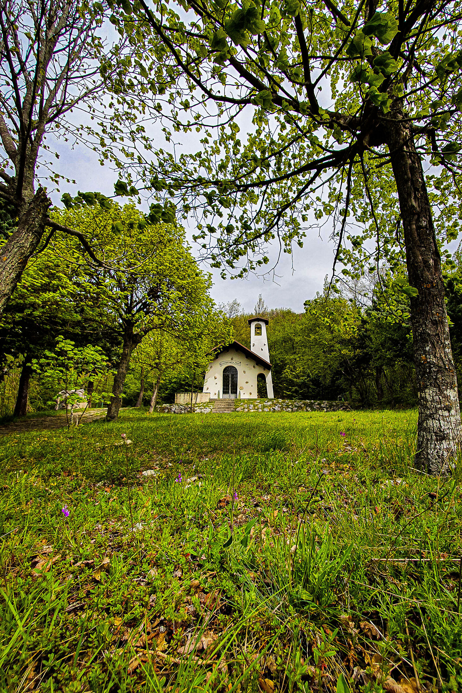le Alpi a Monte Pallano