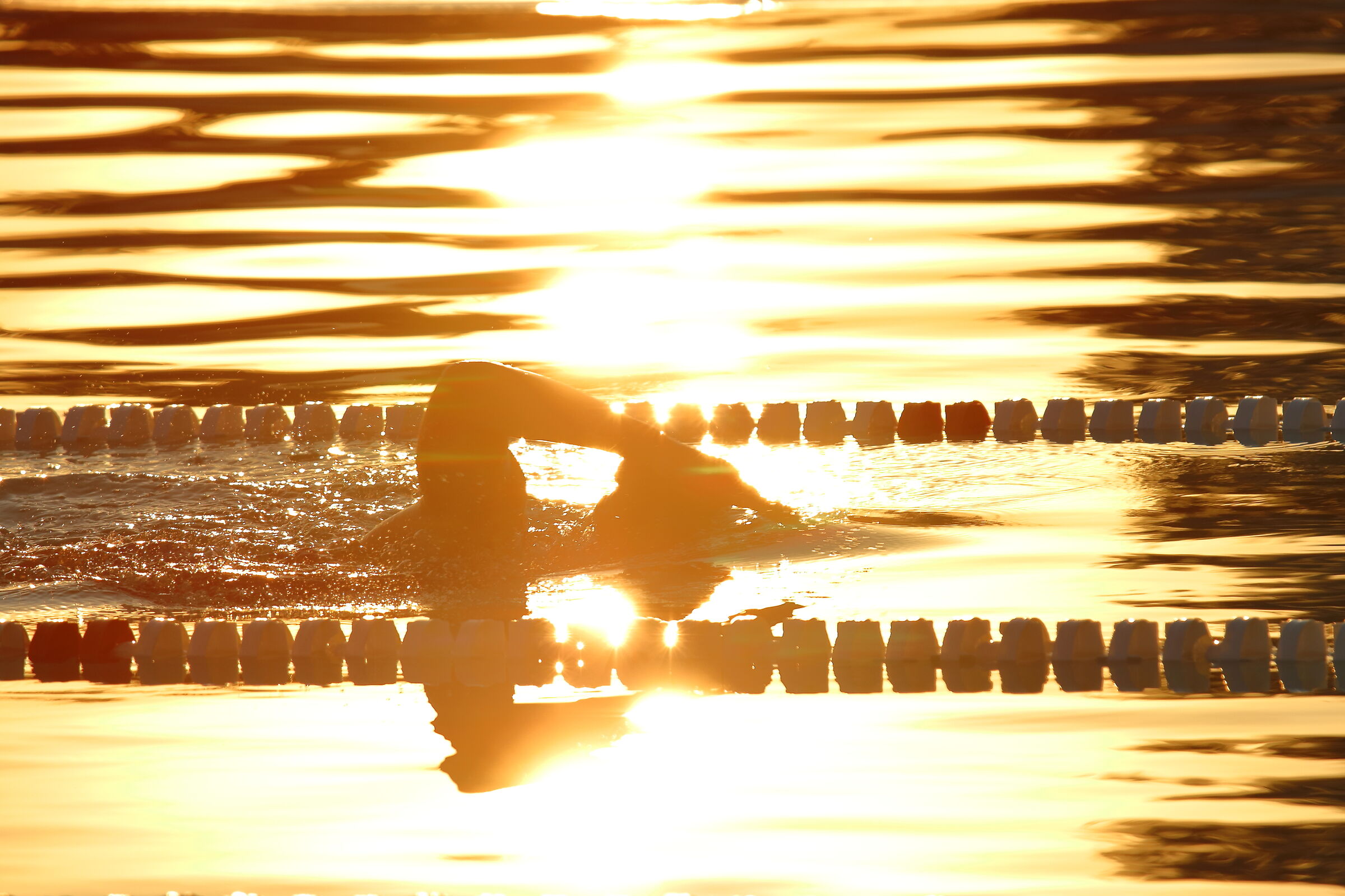 Swimming at sunset