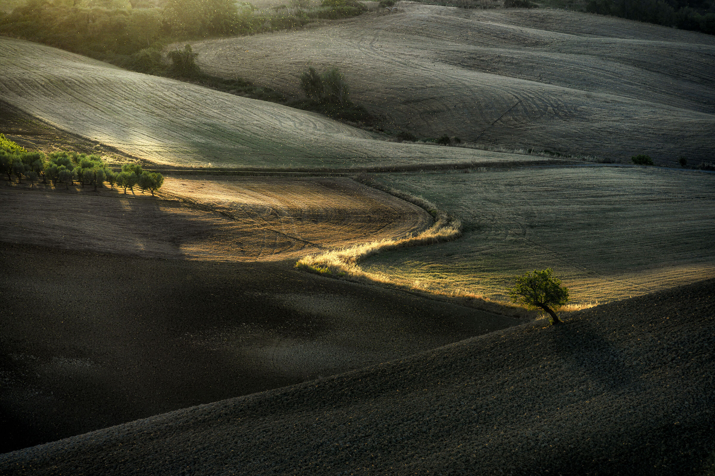 Sunrise in Val d'Orcia with butterflies in flight