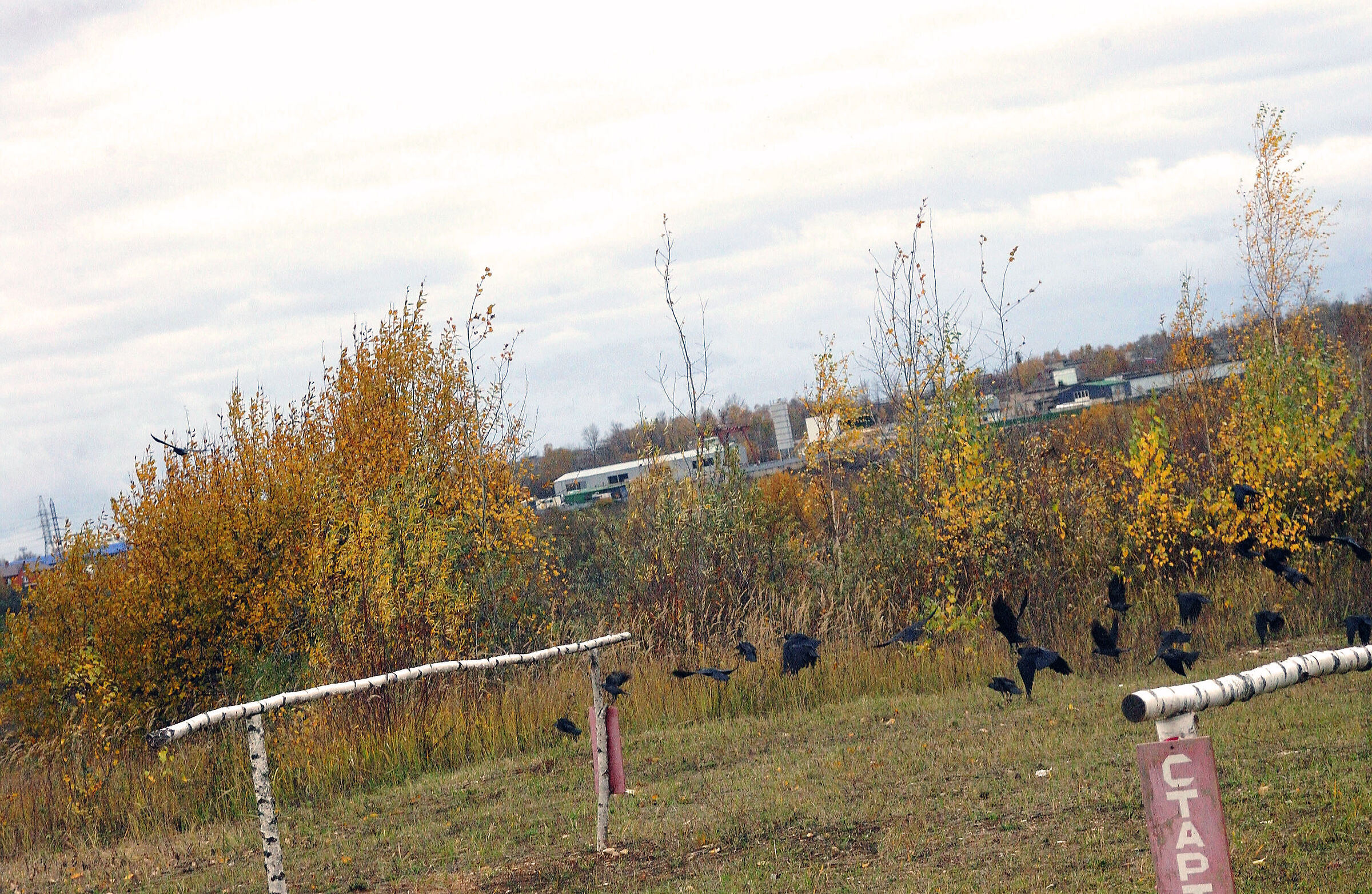 inizio! (Sii il primo)