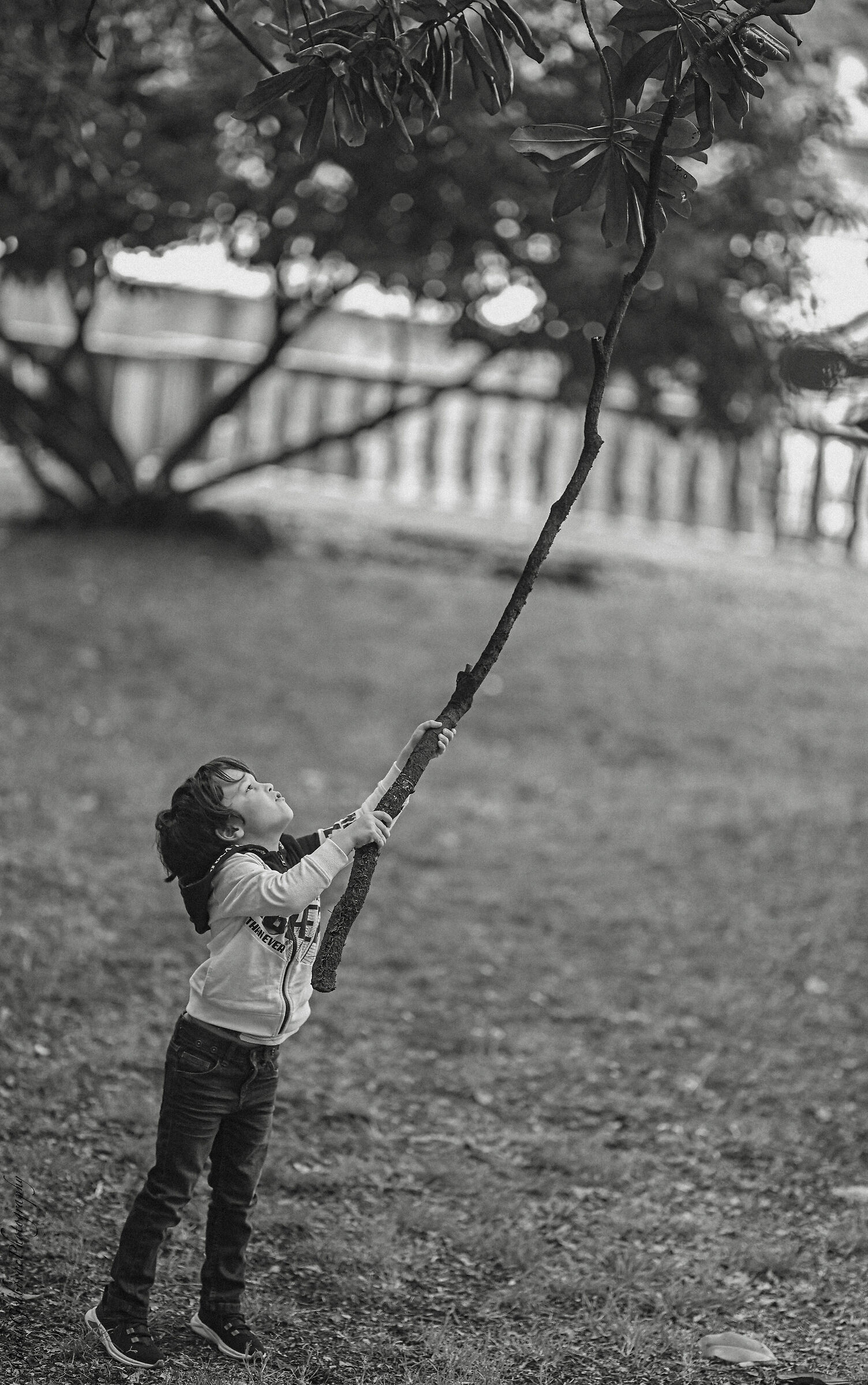 Untitled Photo