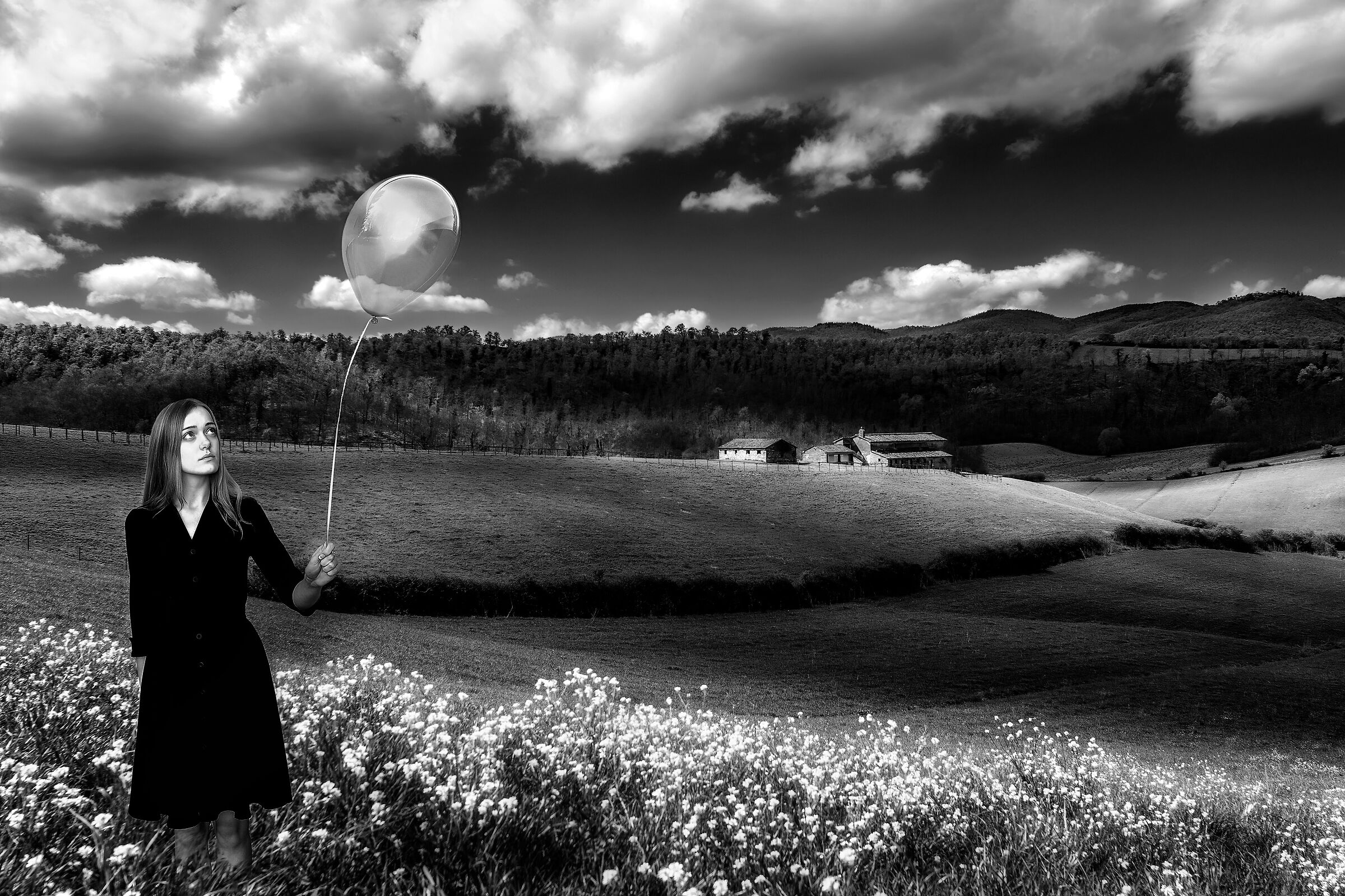 campagna umbra val di chiana bassa 2 vers.2