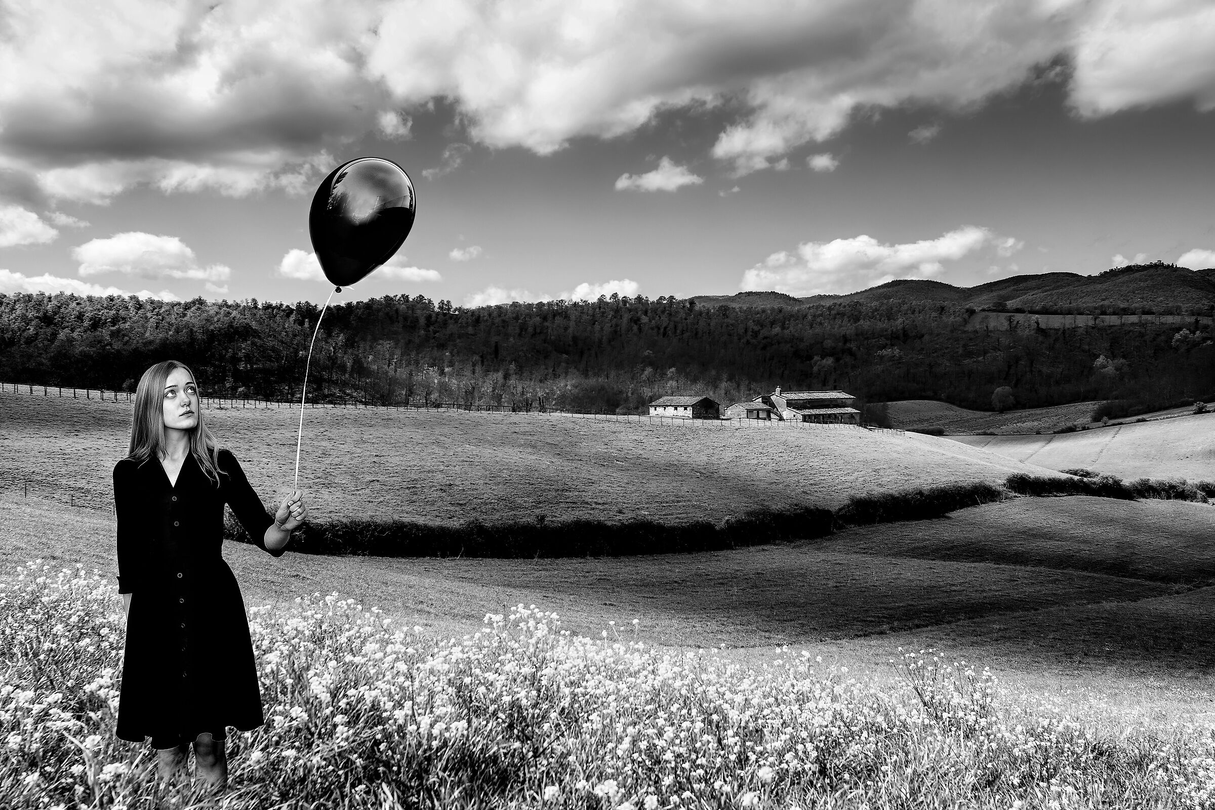 campagna umbra val di chiana bassa 2 vers.3