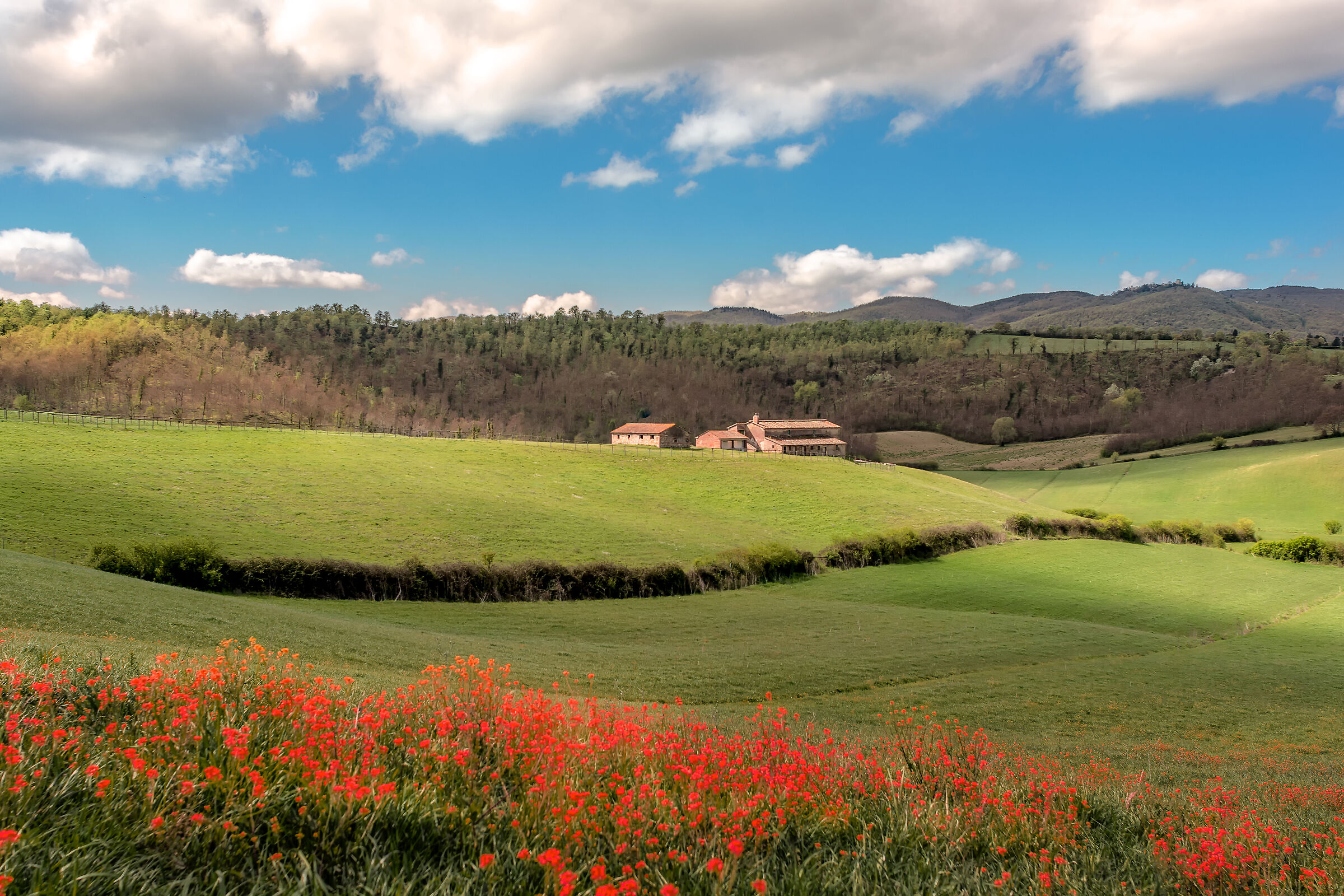 campagna umbra val di chiana bassa "poggiovalle TR&quot...