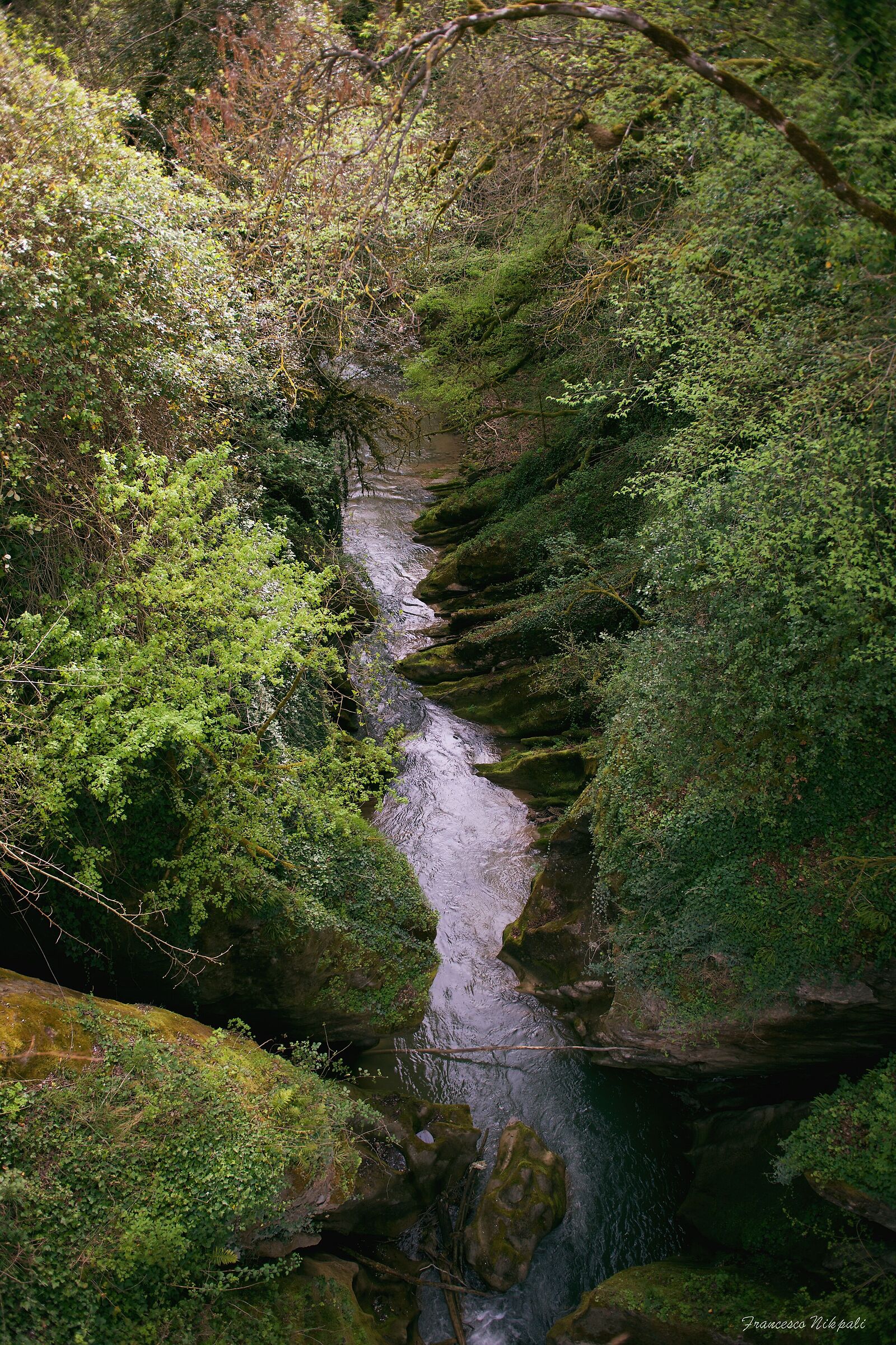 Cascate dell'Arena - Roccafluvione (ap)