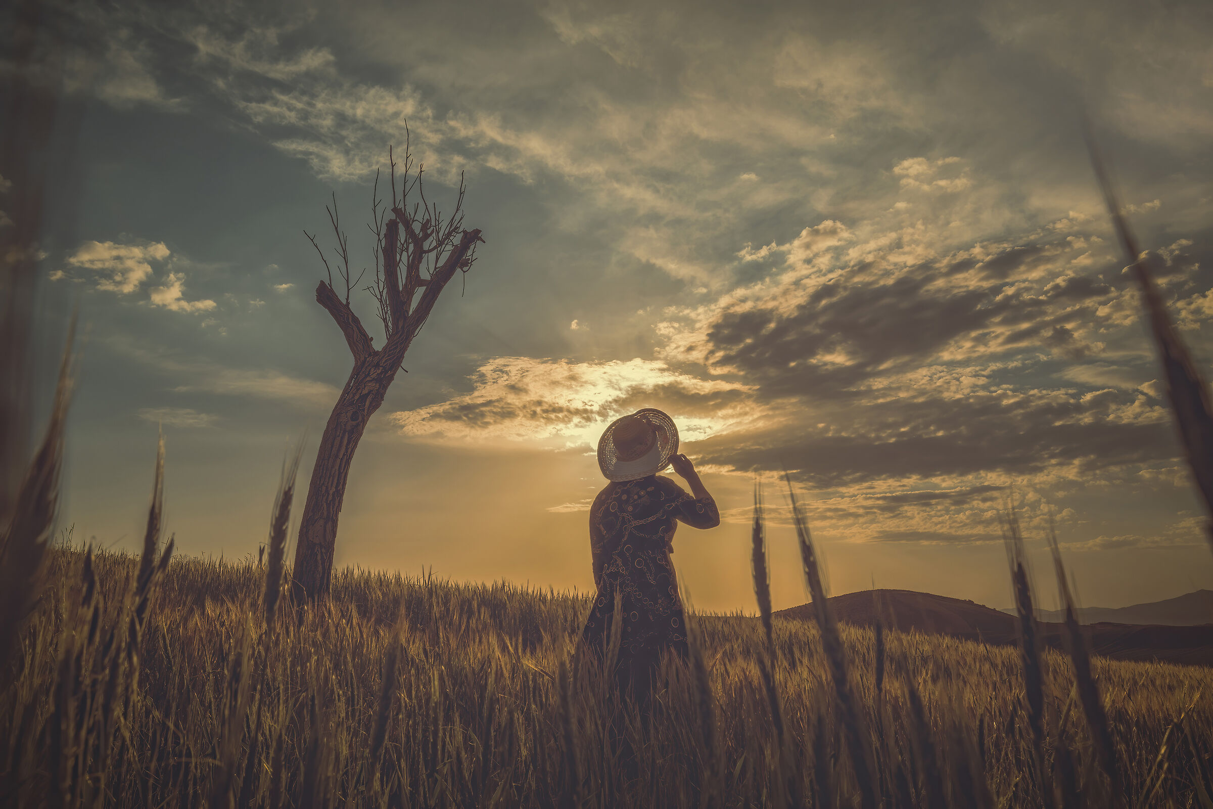 La signora nei momenti del tramonto