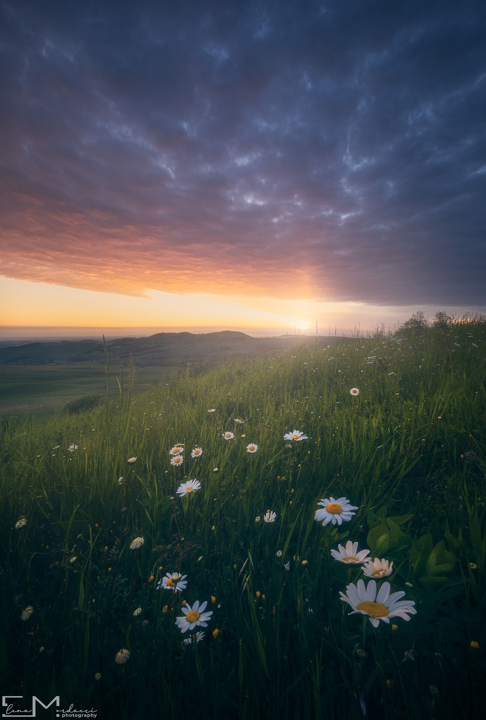 Spring sunrise over the Parma hills