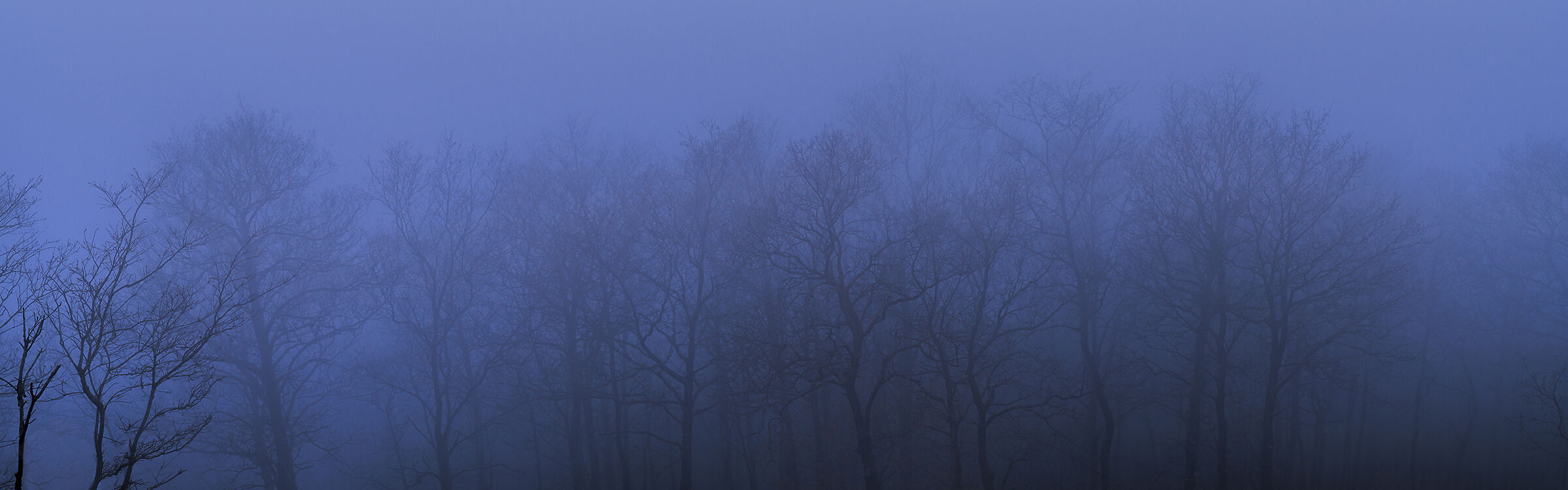 Inside the Clouds