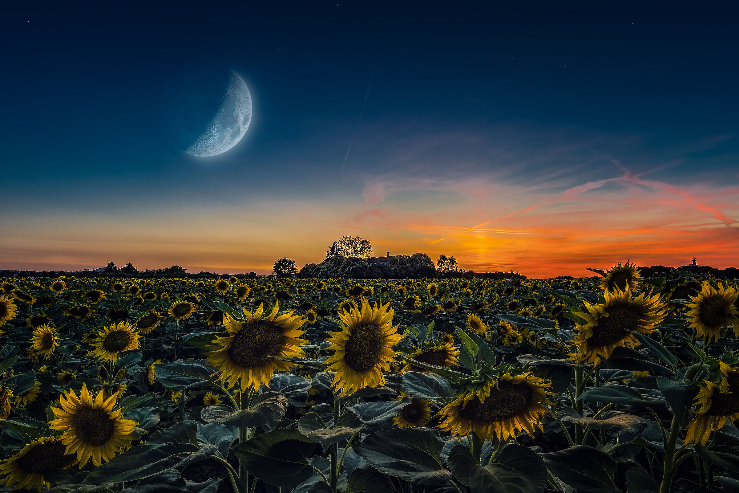 Fantasy sunset