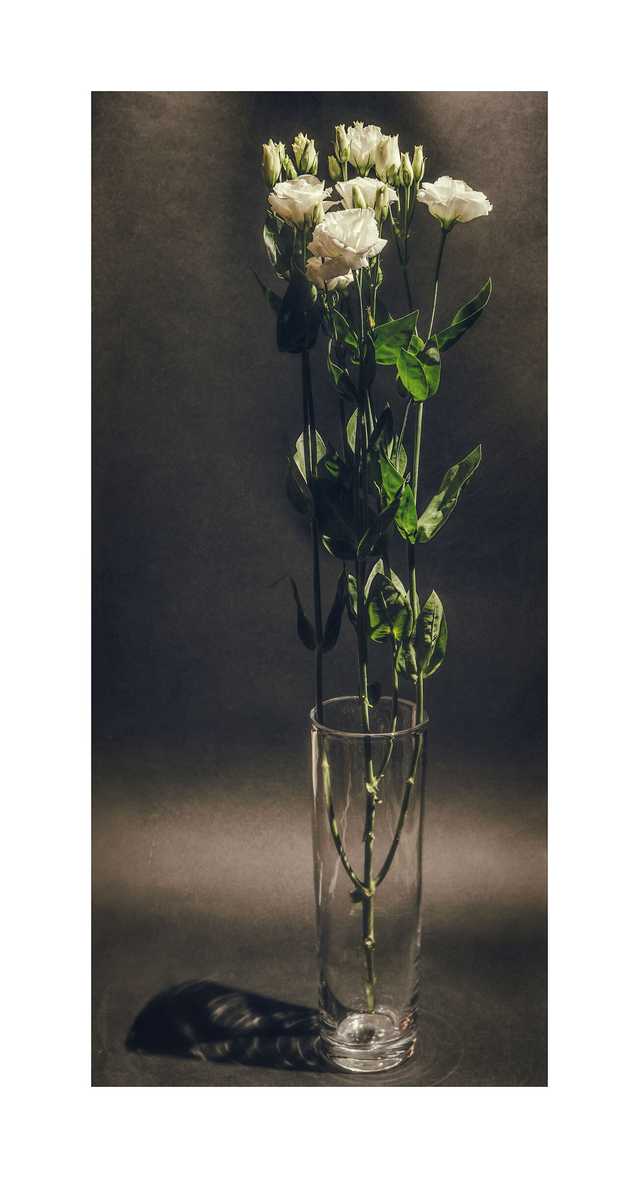 Flowers IV