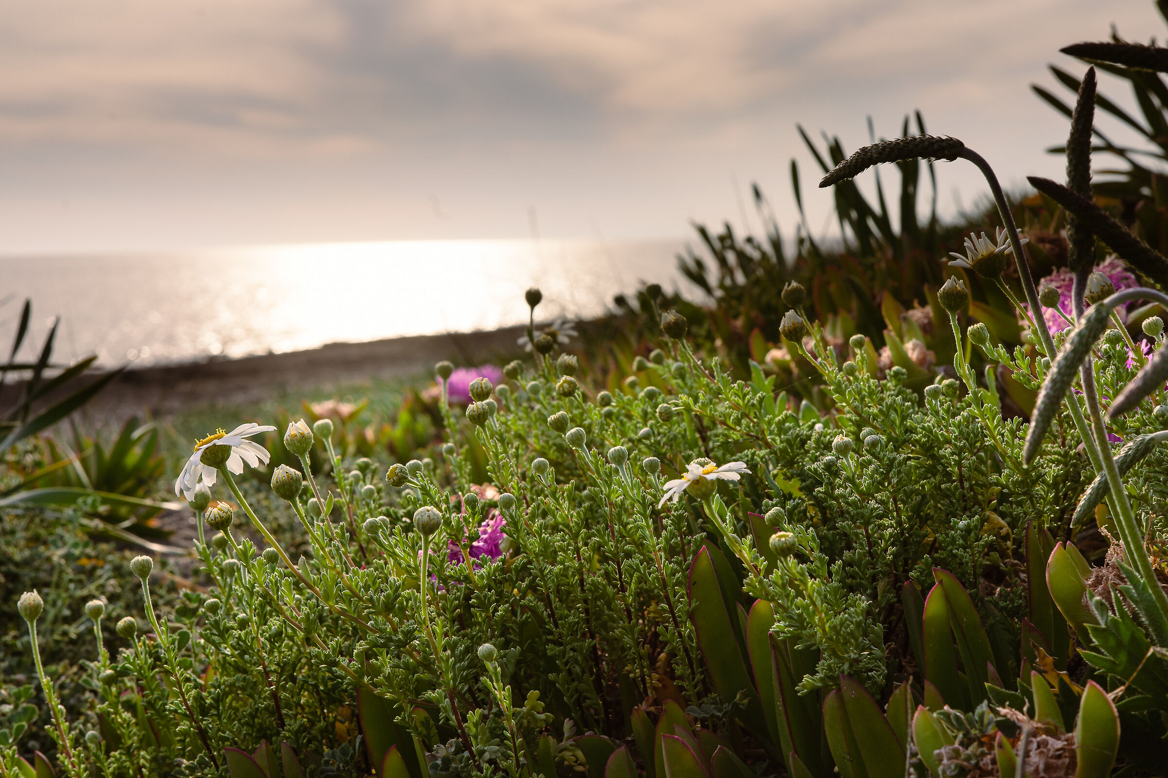 Up to the last ray of light