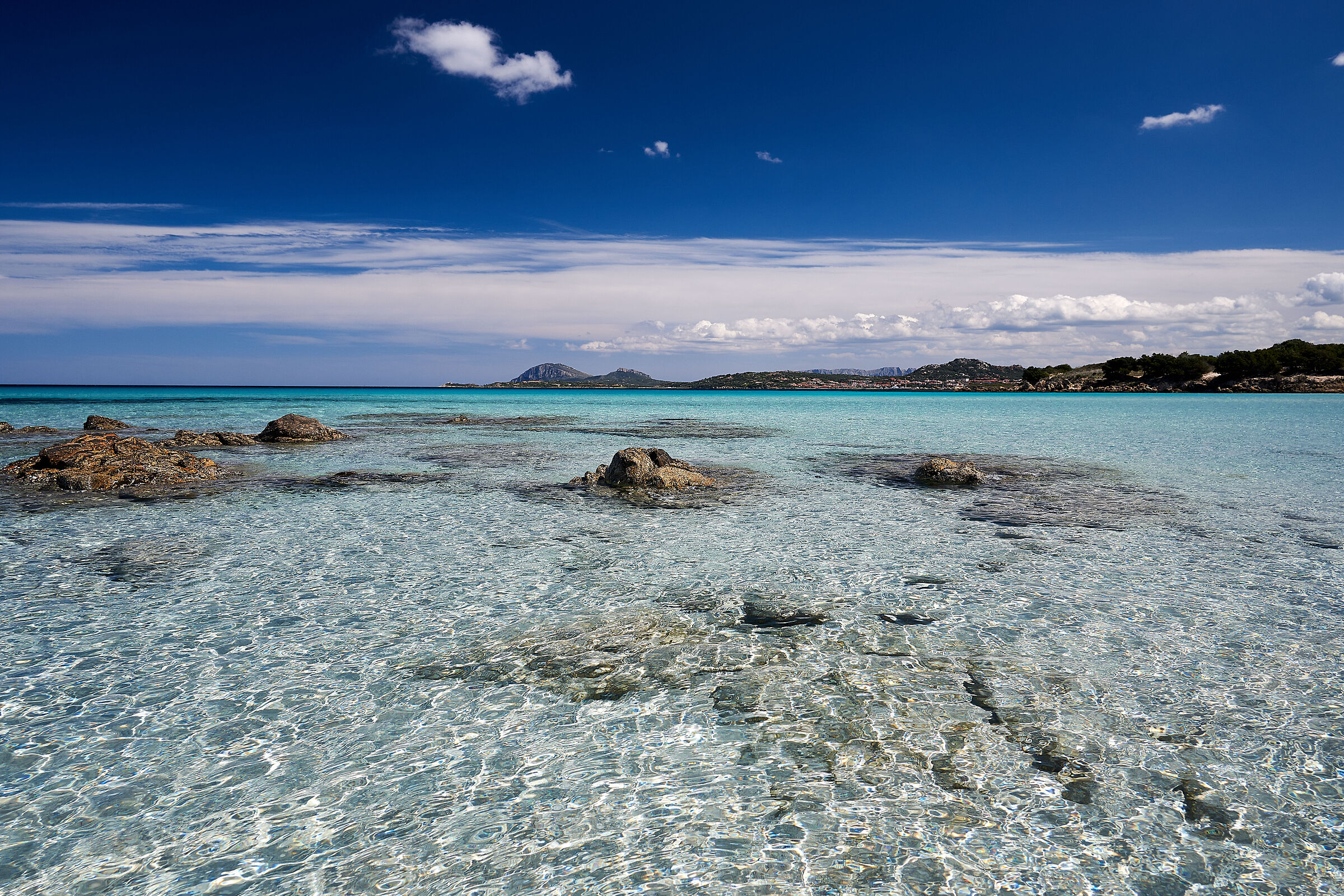 waiting for summer 2