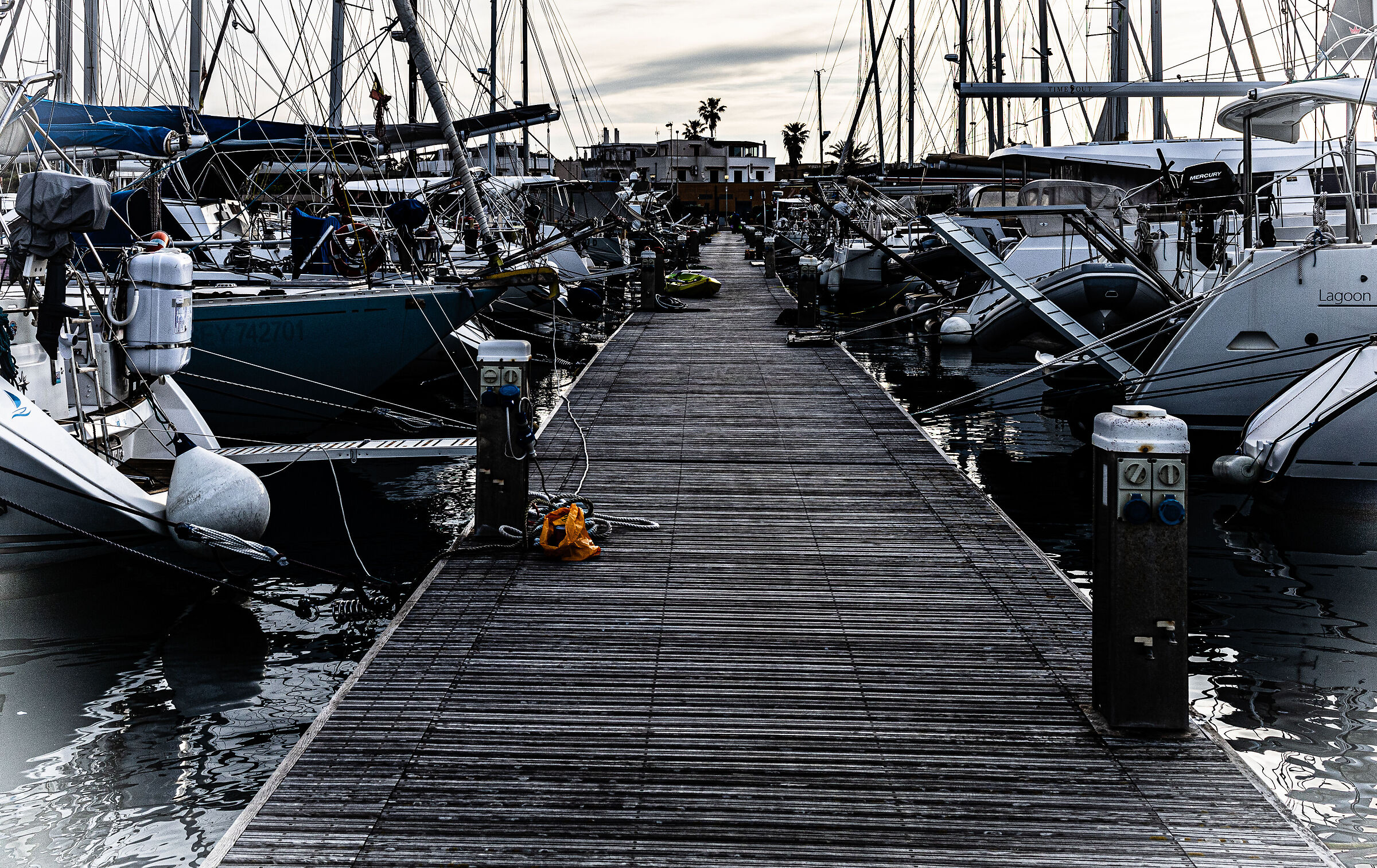 Untitled Photo